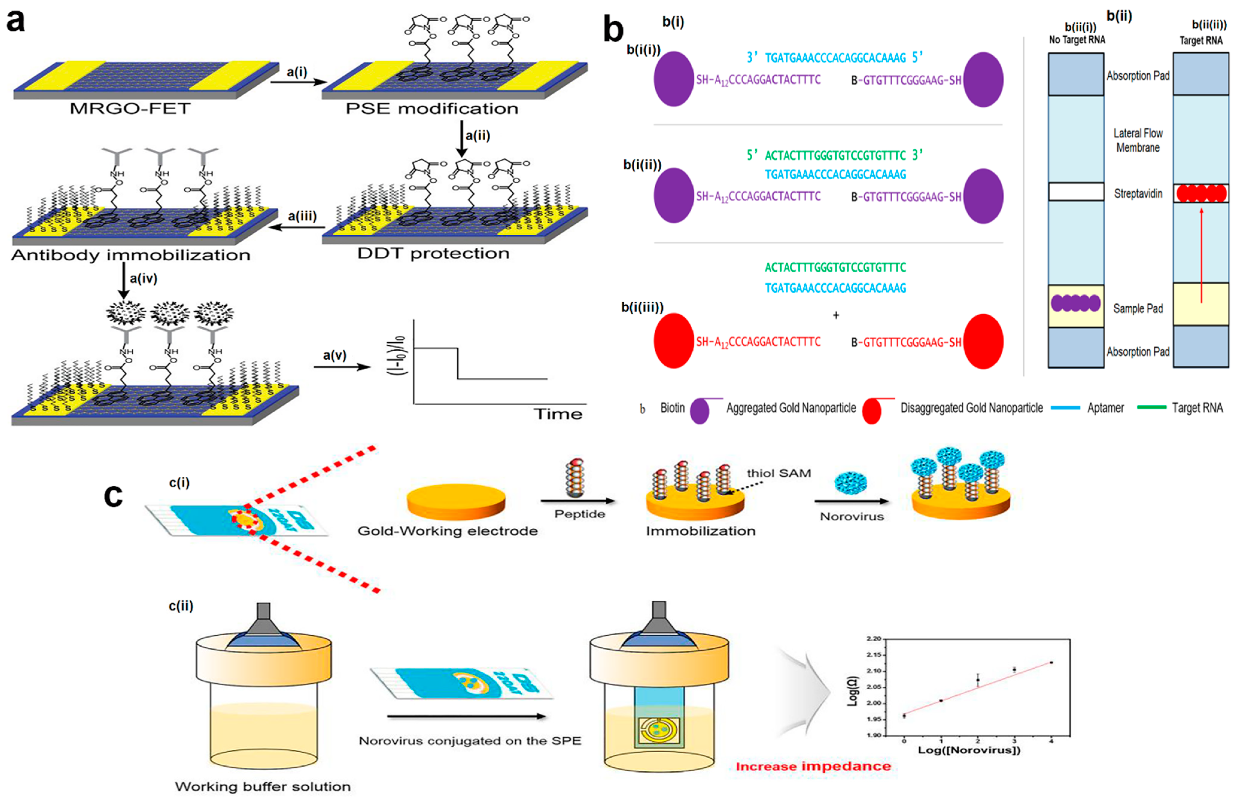 Biosensors 12 00499 g004