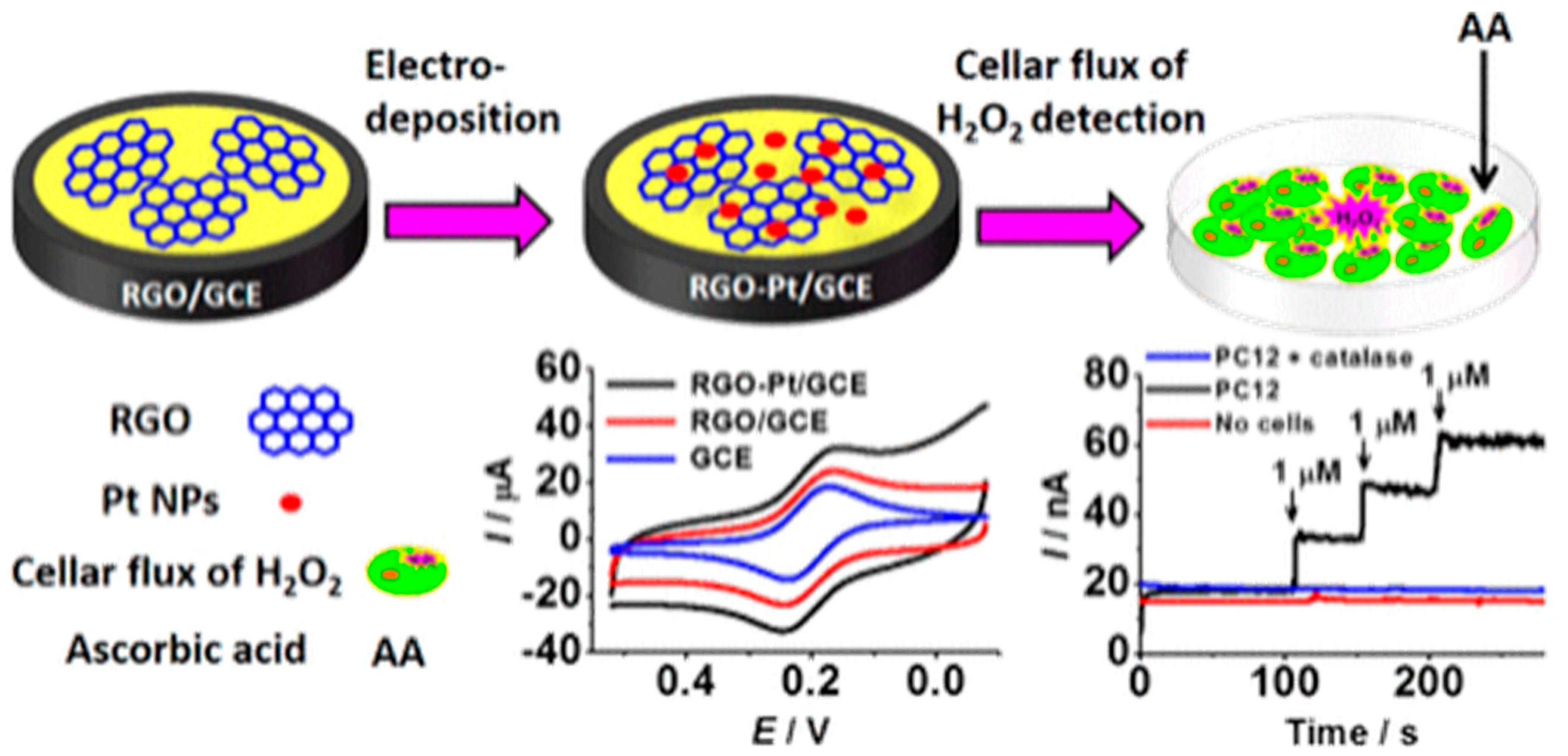Biosensors 12 00500 g003 Biosensors 12 00500 g003