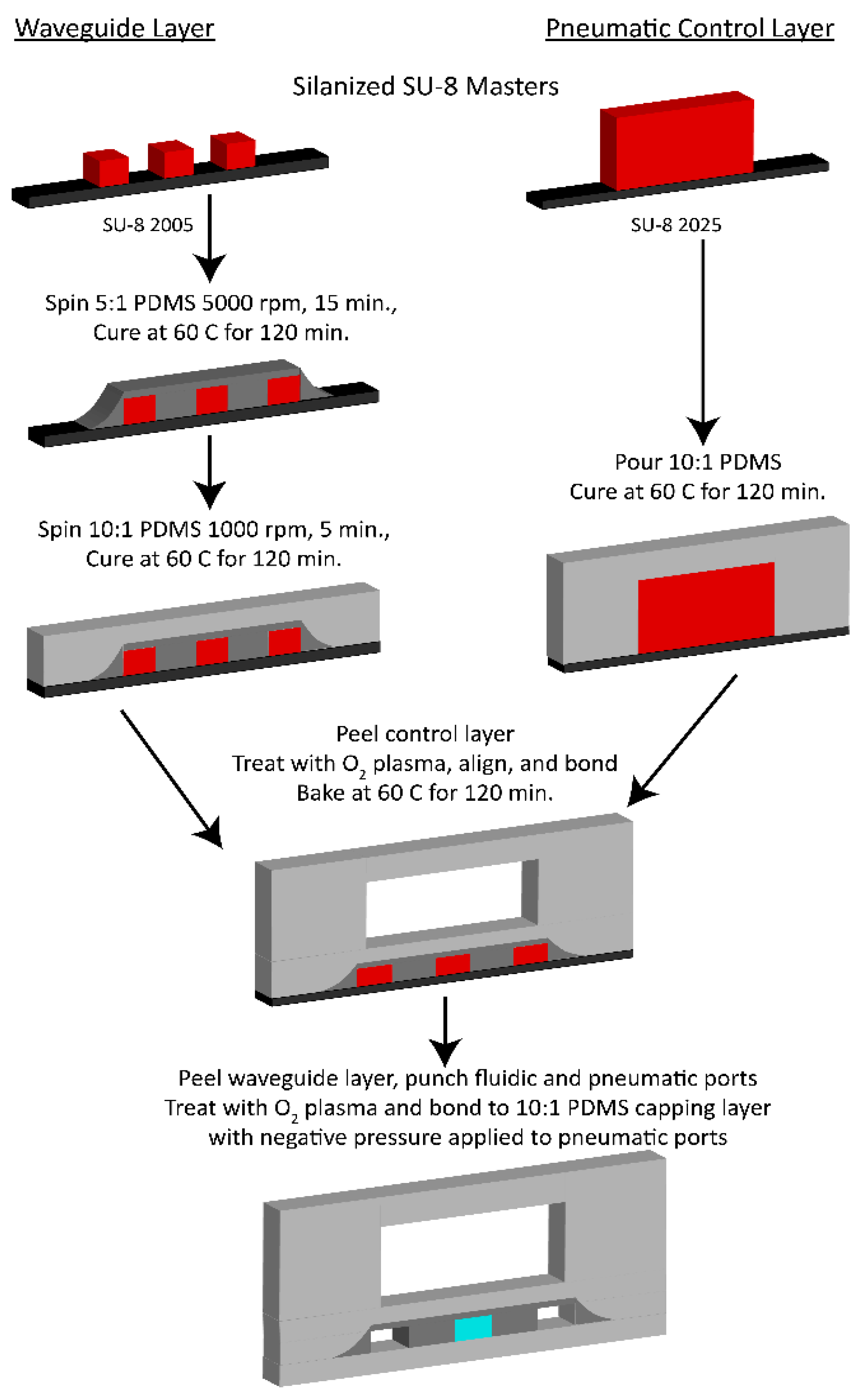 Biosensors 12 00501 g003