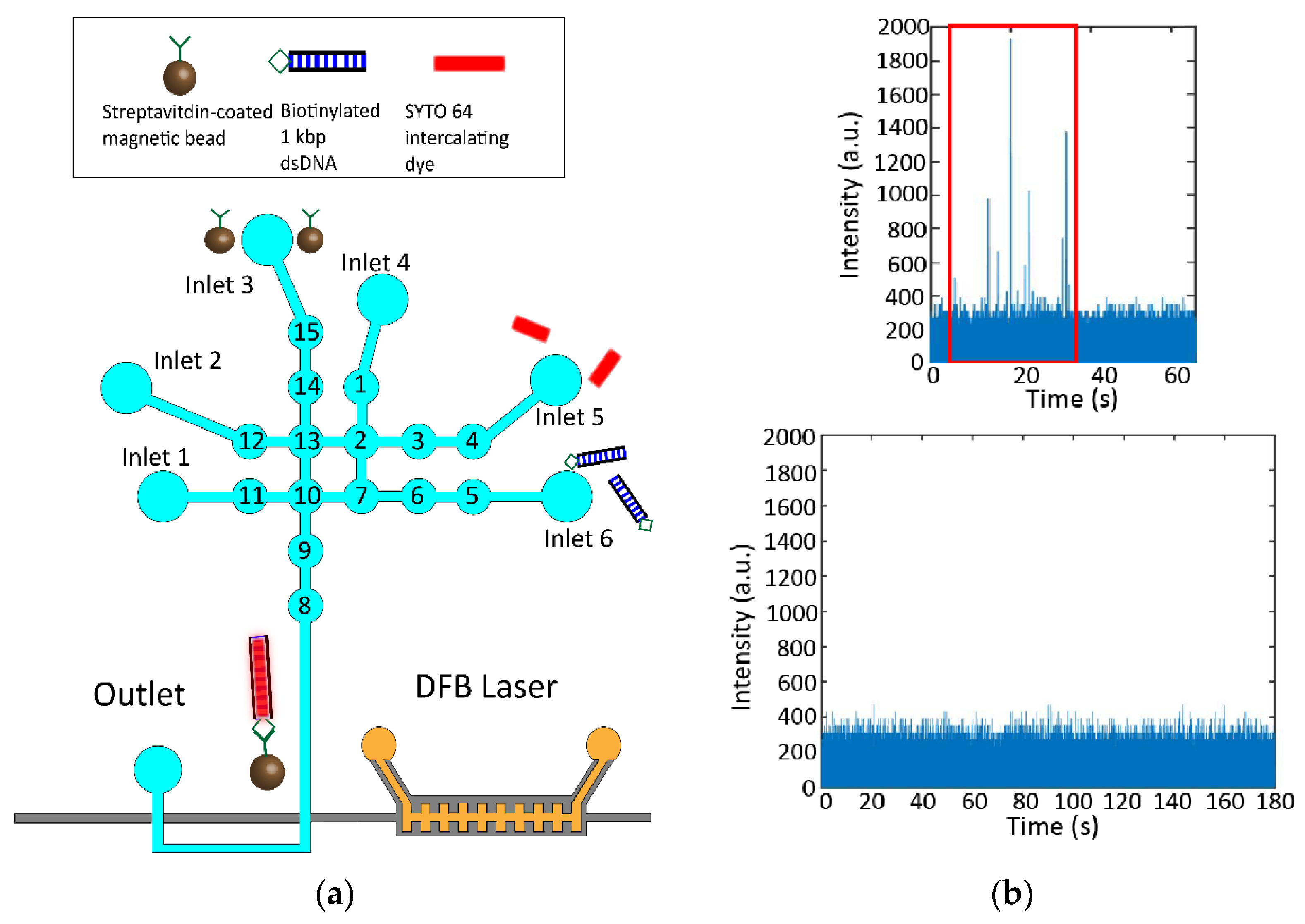 Biosensors 12 00501 g005