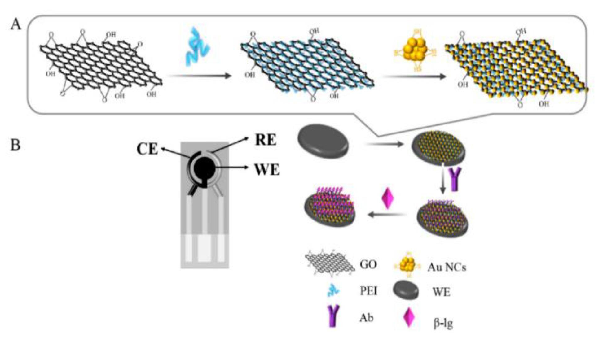 Biosensors 12 00503 g001