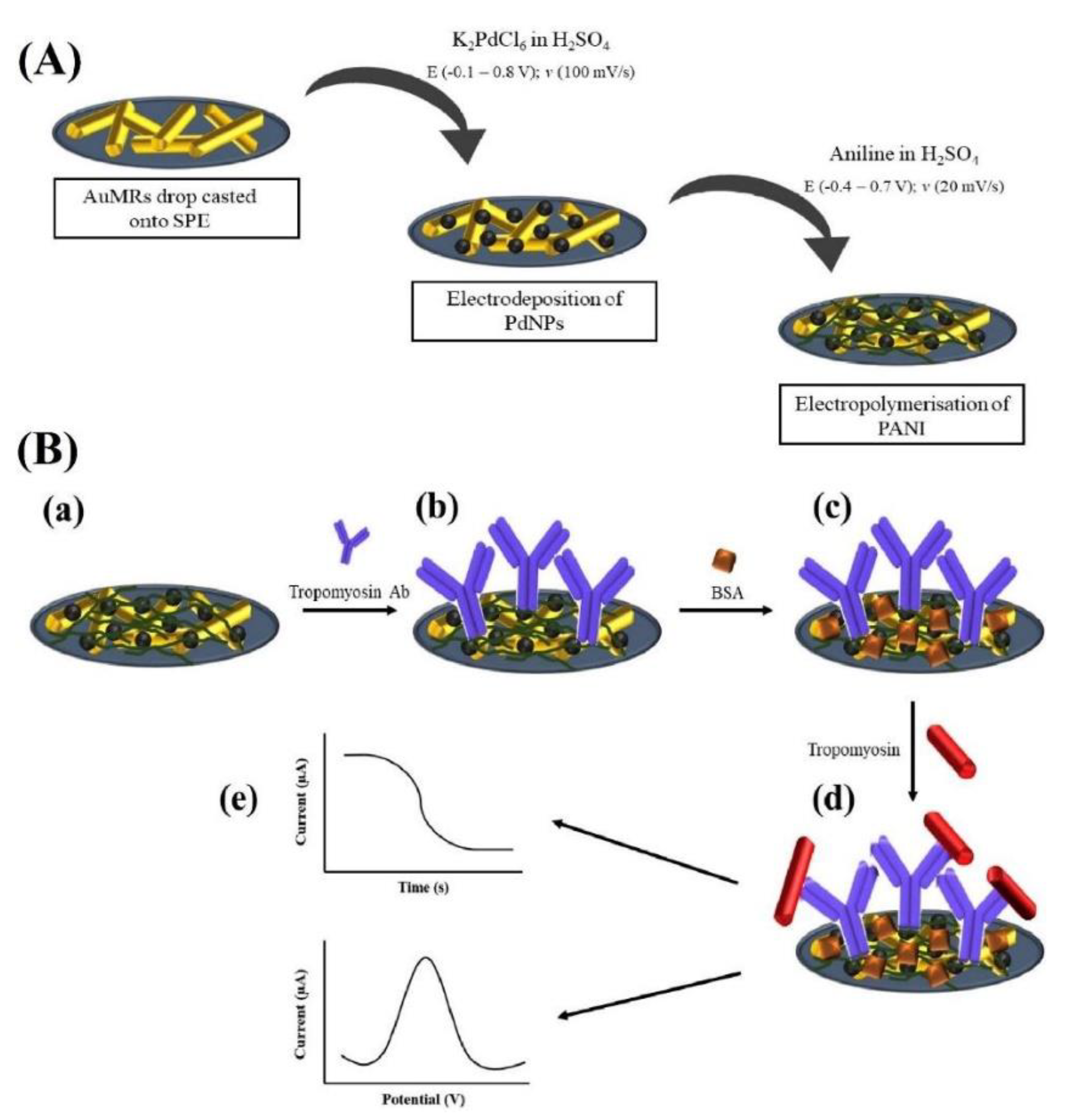 Biosensors 12 00503 g003