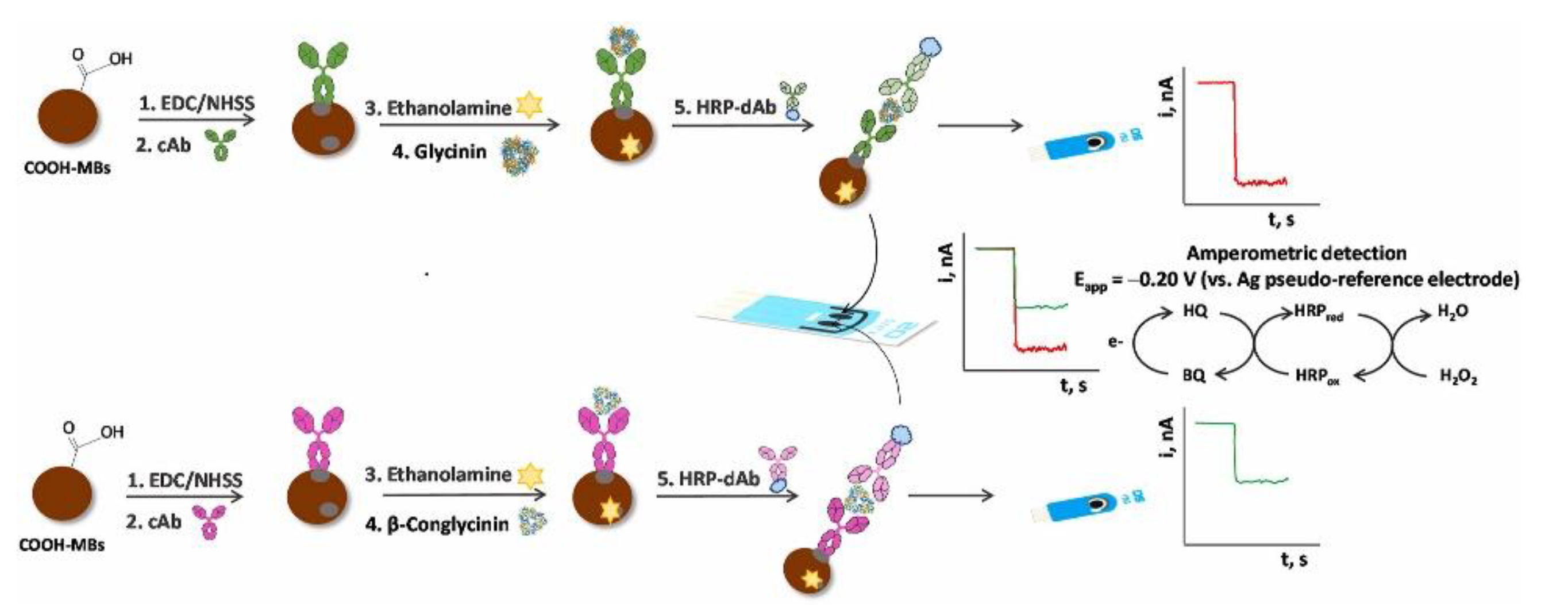 Biosensors 12 00503 g004