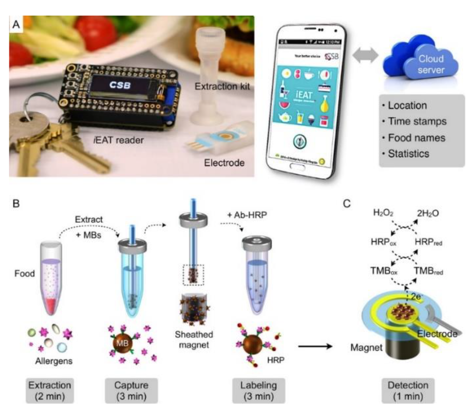 Biosensors 12 00503 g005