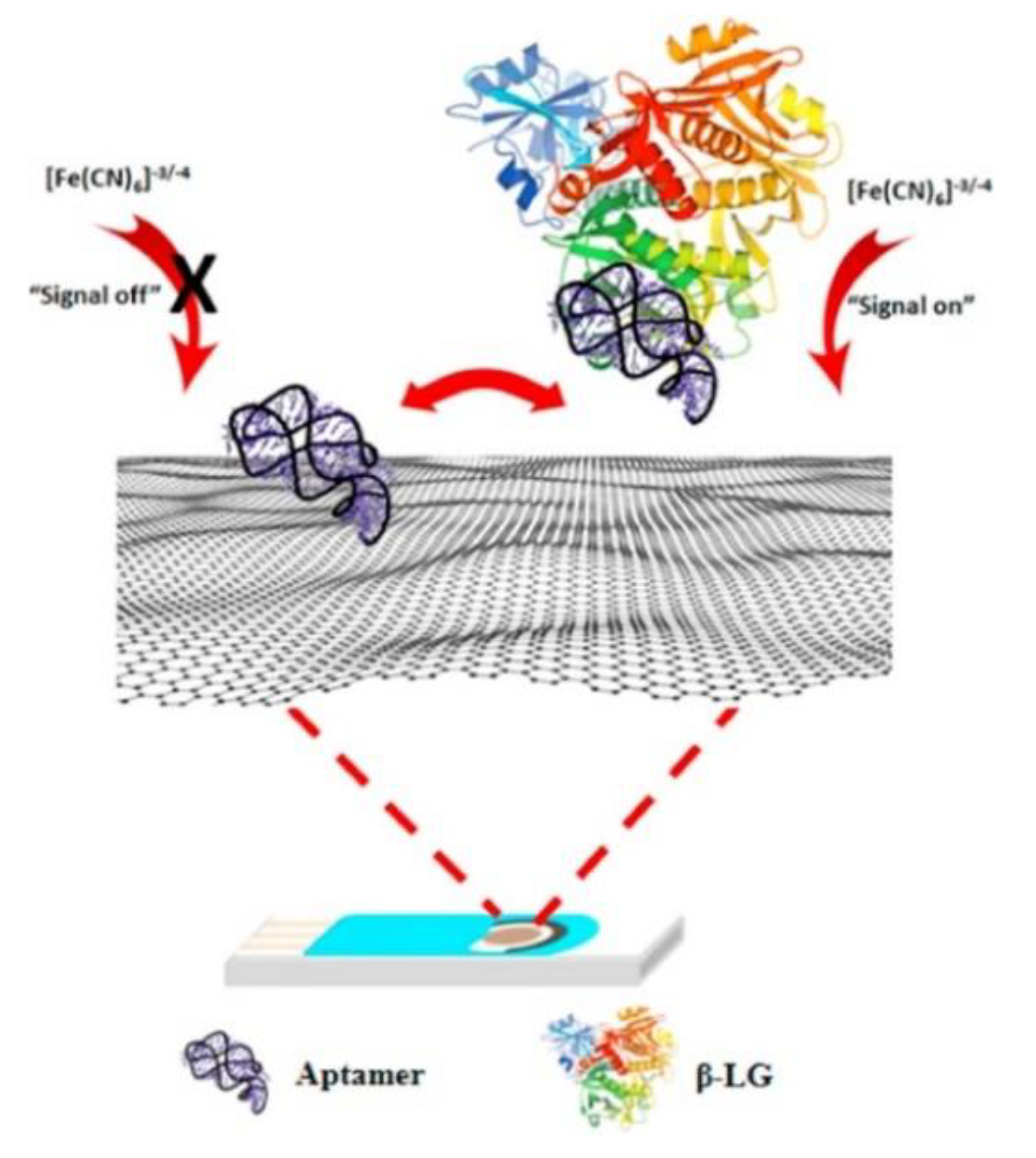 Biosensors 12 00503 g006