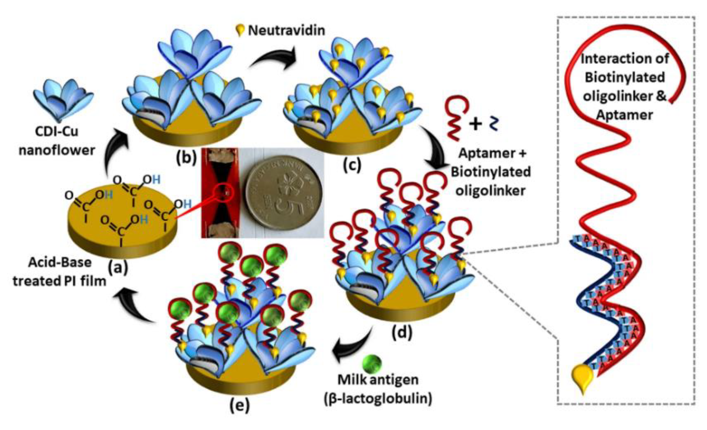 Biosensors 12 00503 g008