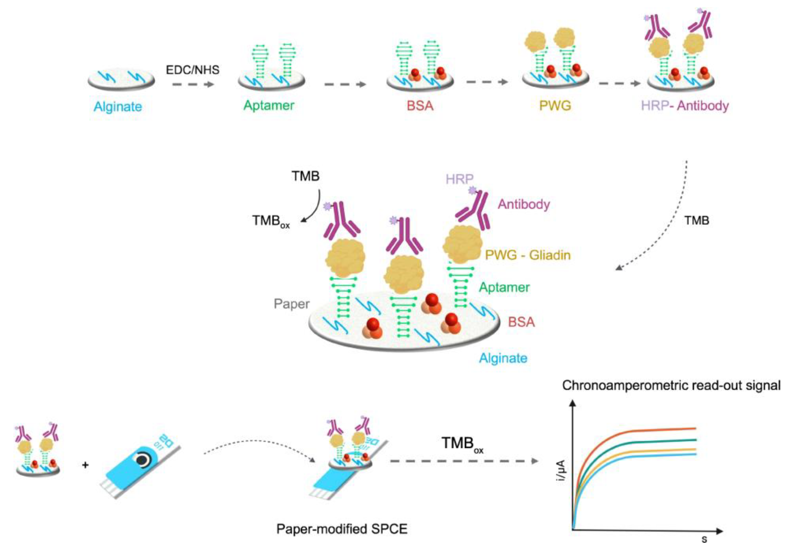 Biosensors 12 00503 g011
