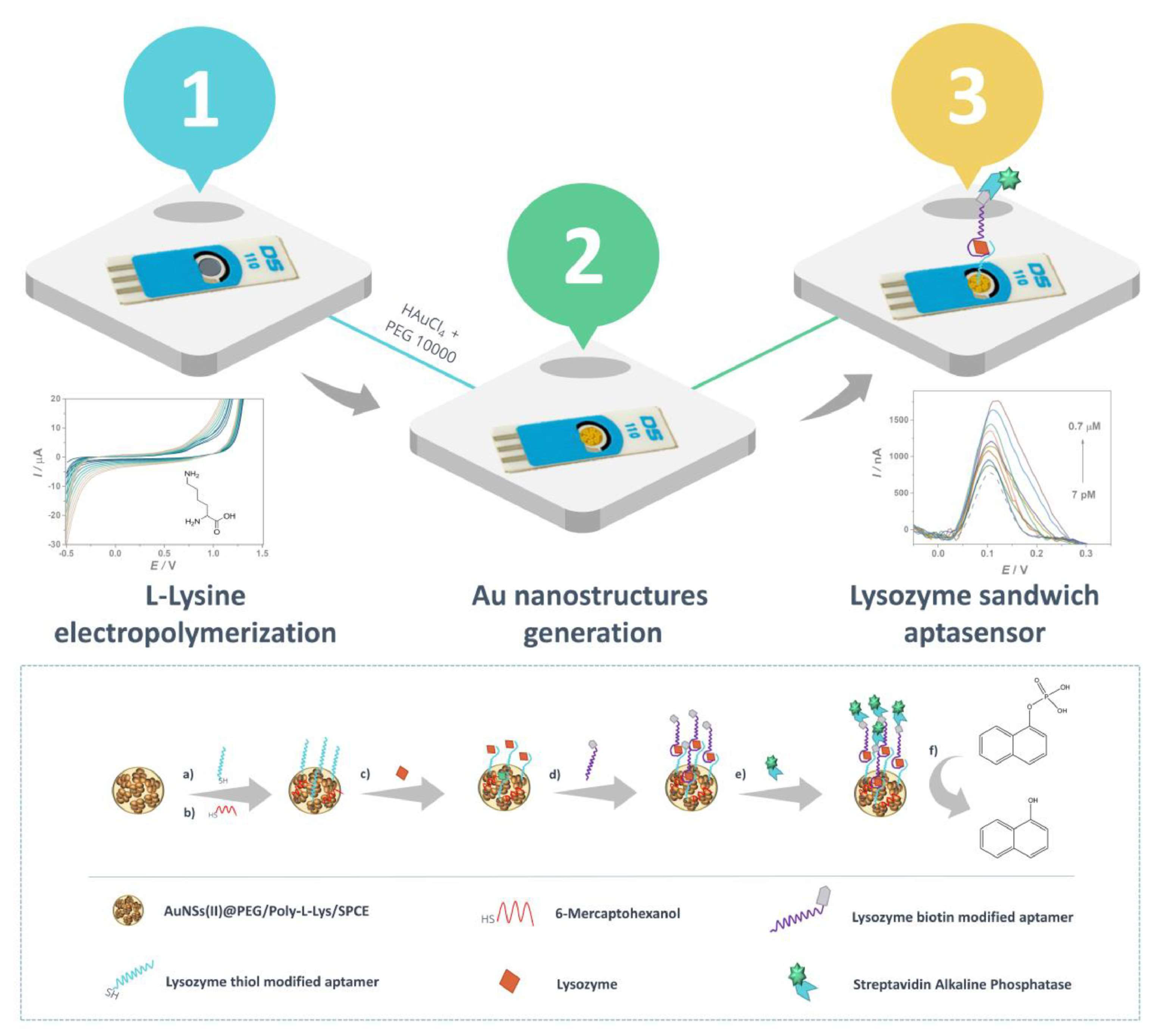 Rapid and accurate electrochemical sensor for food allergen detection in  complex foods