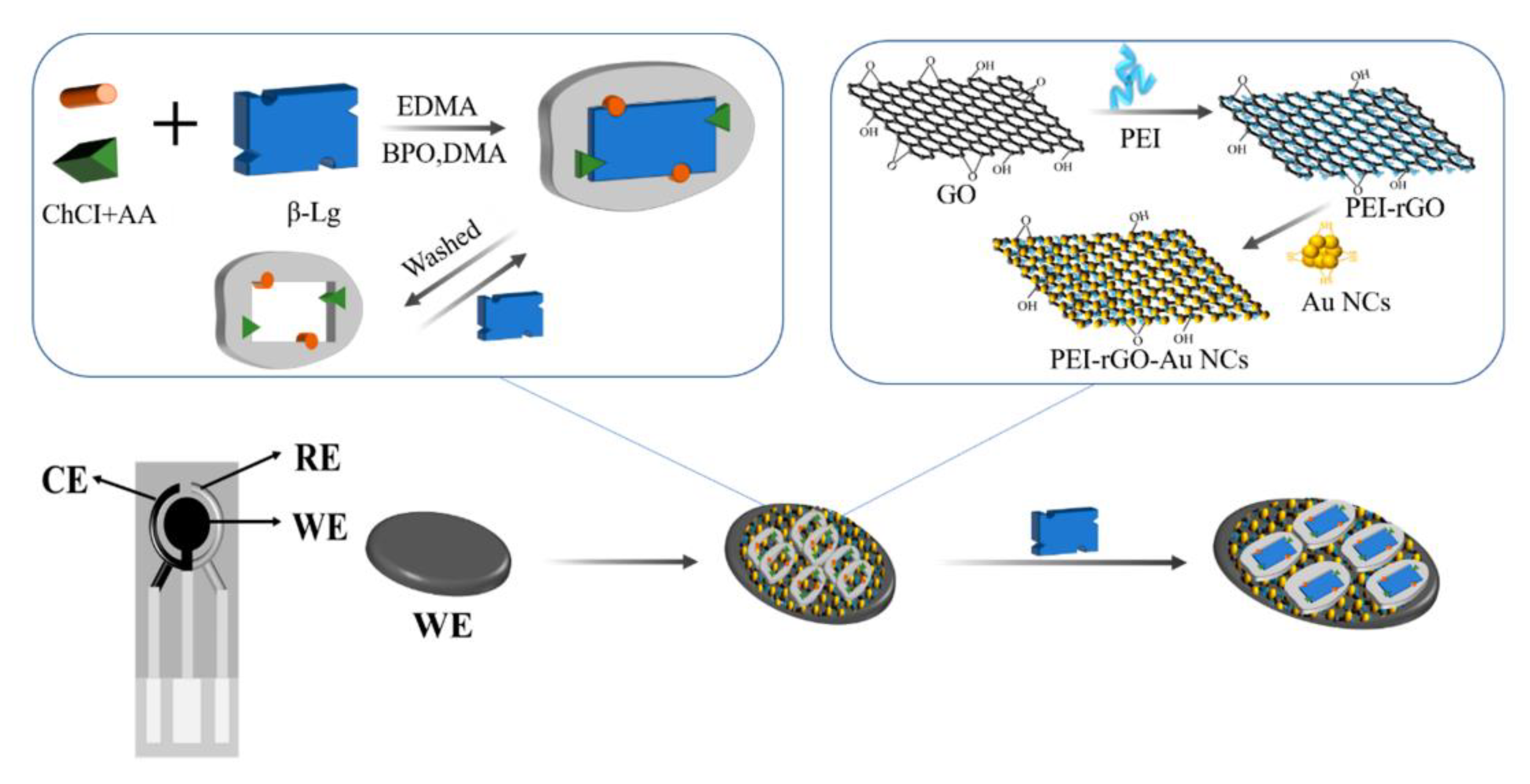 Rapid and accurate electrochemical sensor for food allergen detection in  complex foods