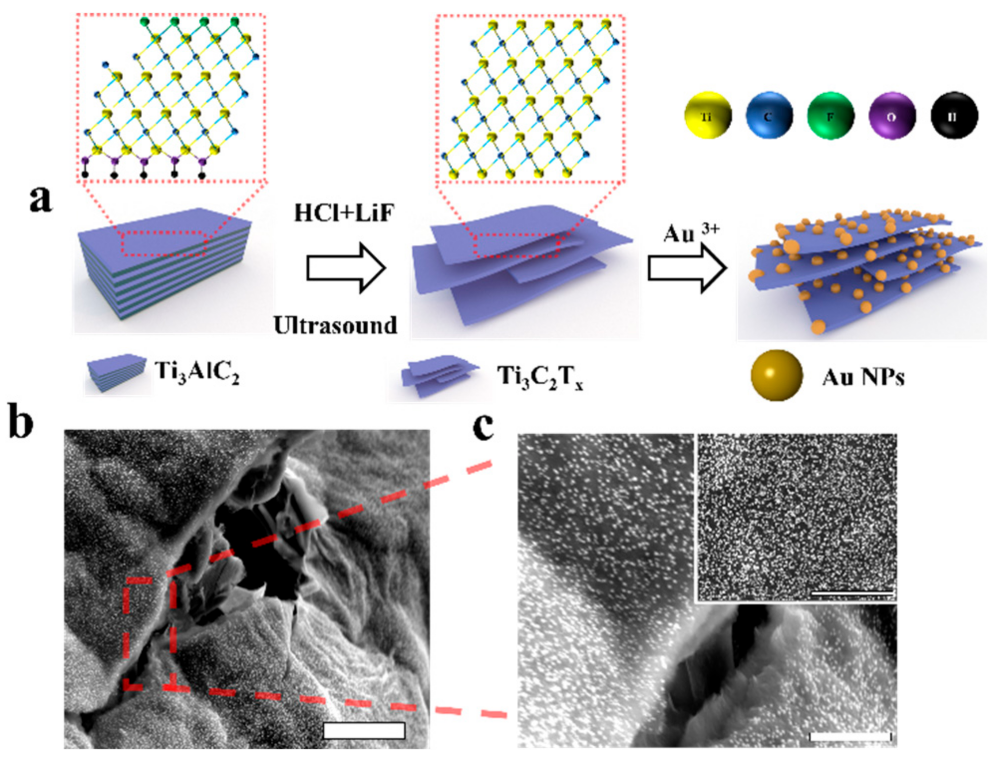 Biosensors 12 00505 g001