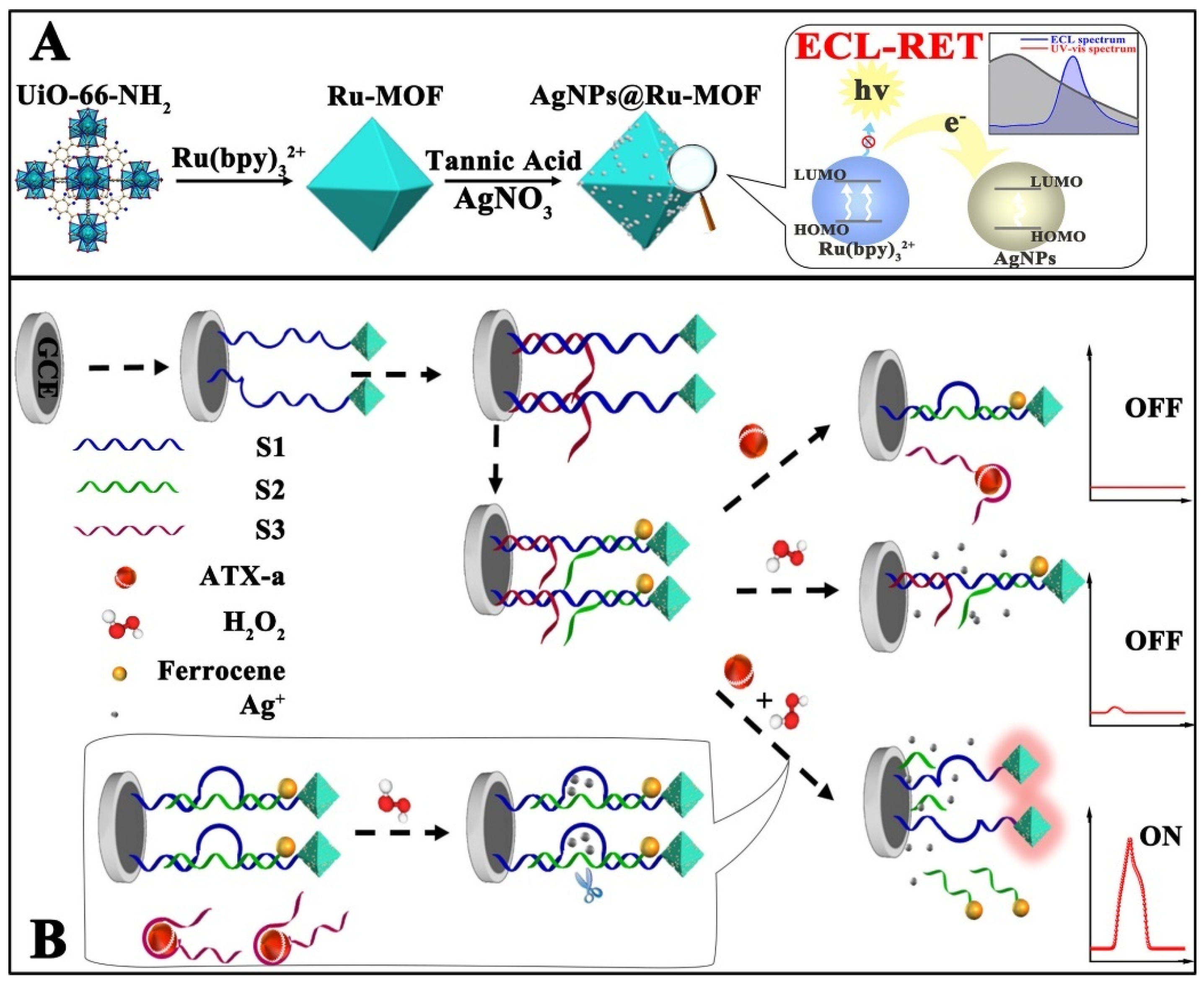 Biosensors 12 00508 g007 550
