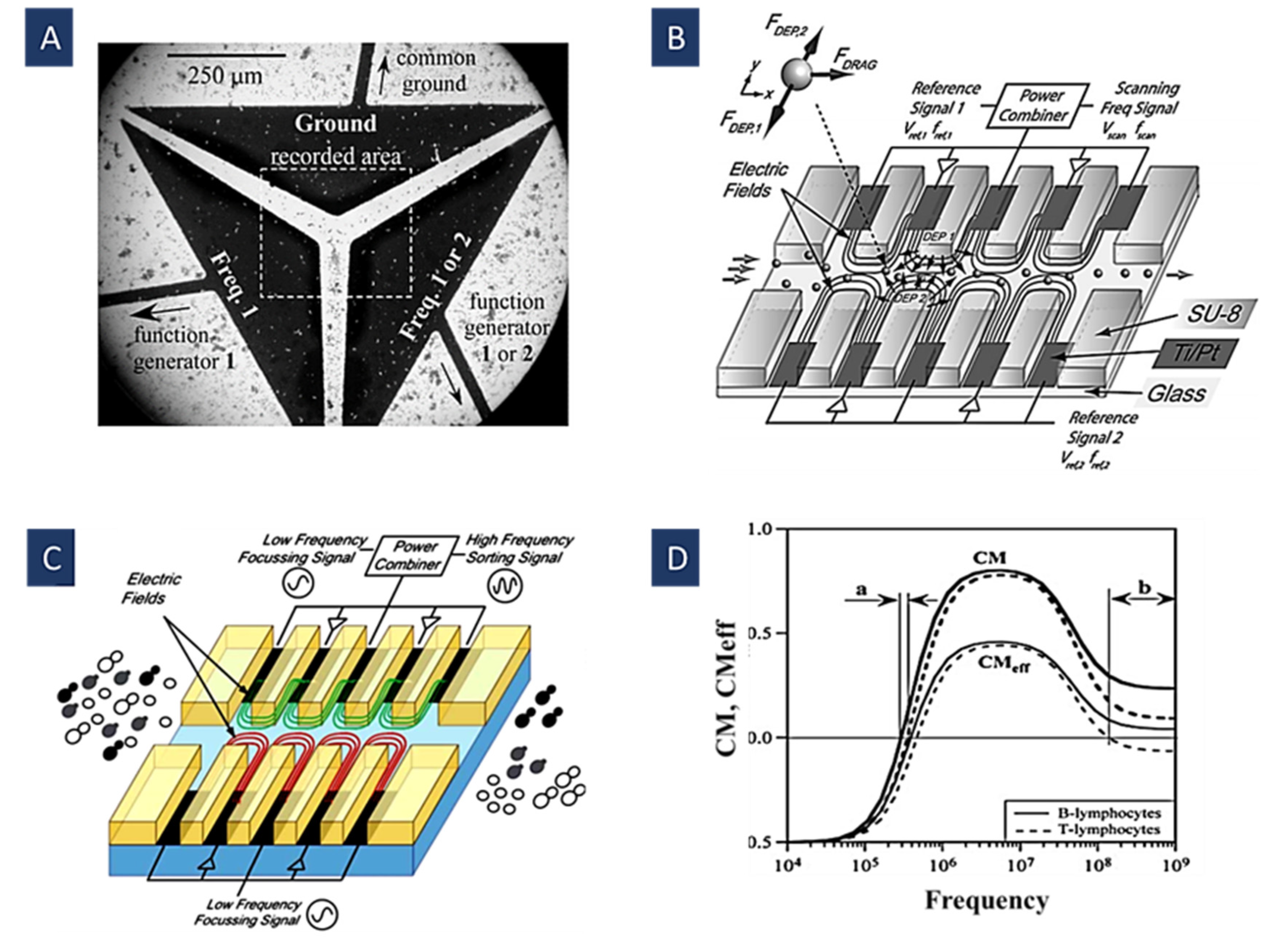 Biosensors 12 00510 g005 Biosensors 12 00510 g005