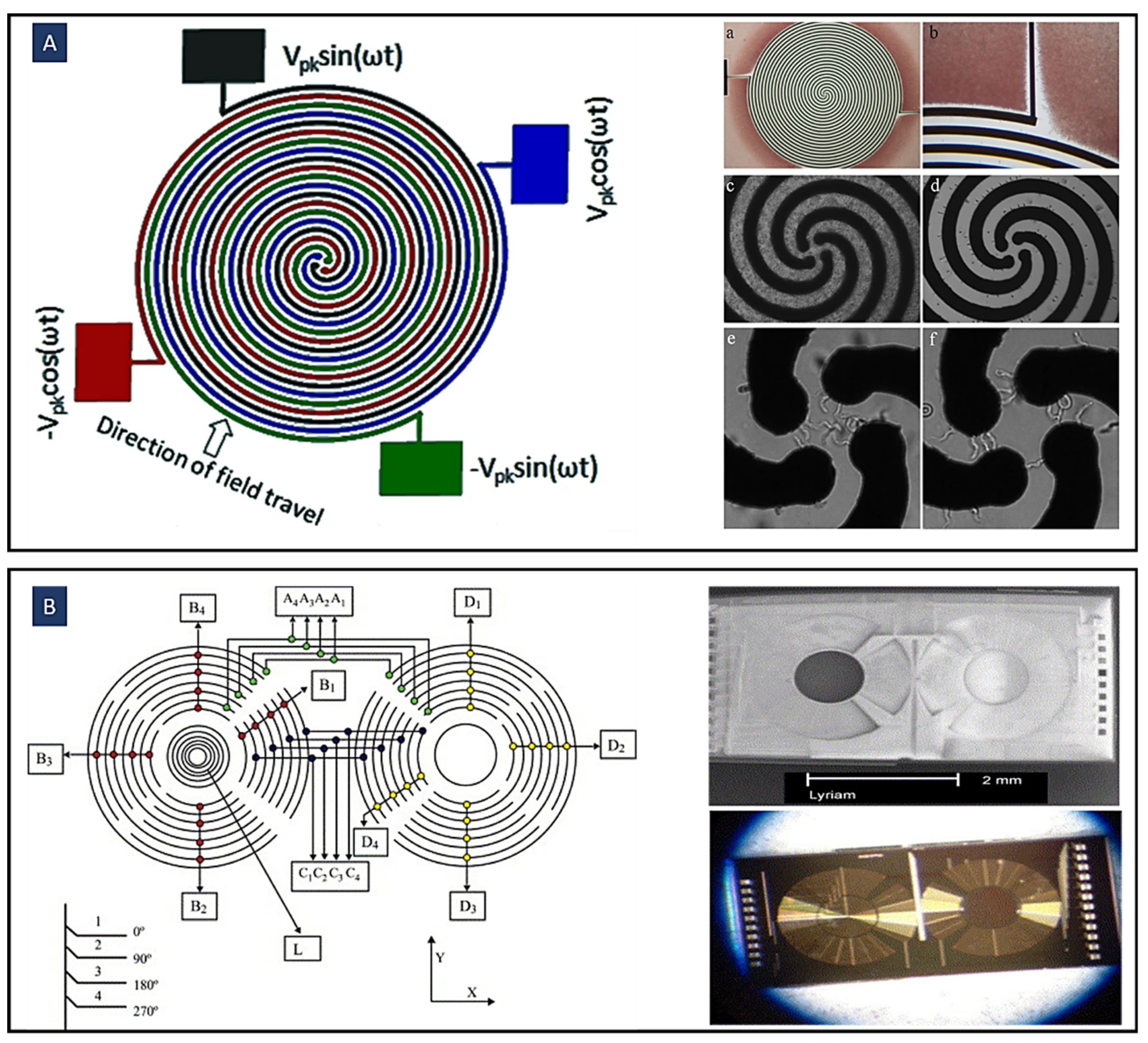 Biosensors 12 00510 g007 Biosensors 12 00510 g007