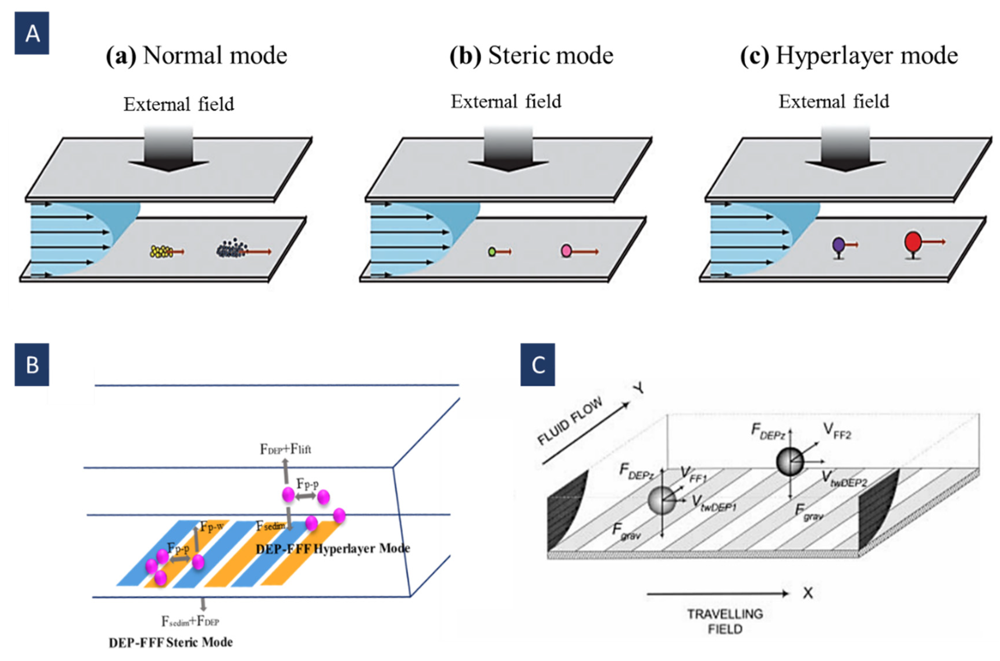 Biosensors 12 00510 g011 Biosensors 12 00510 g011