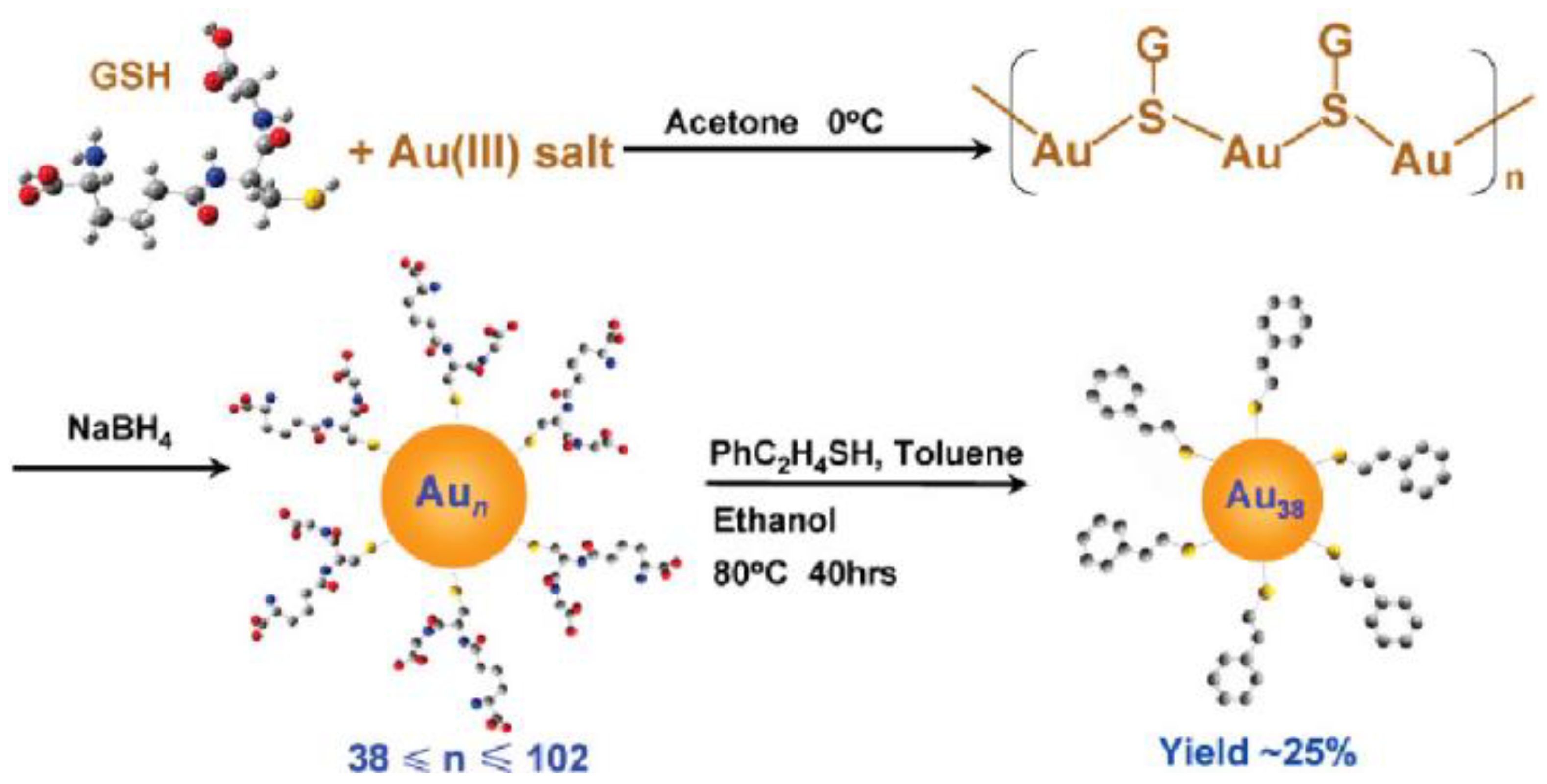 Biosensors 12 00511 g002