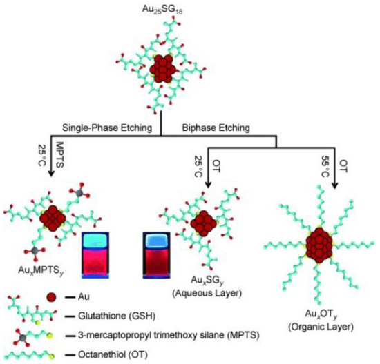ke mas Sサイズ An Overview on Coinage Metal Nanocluster-Based Luminescent