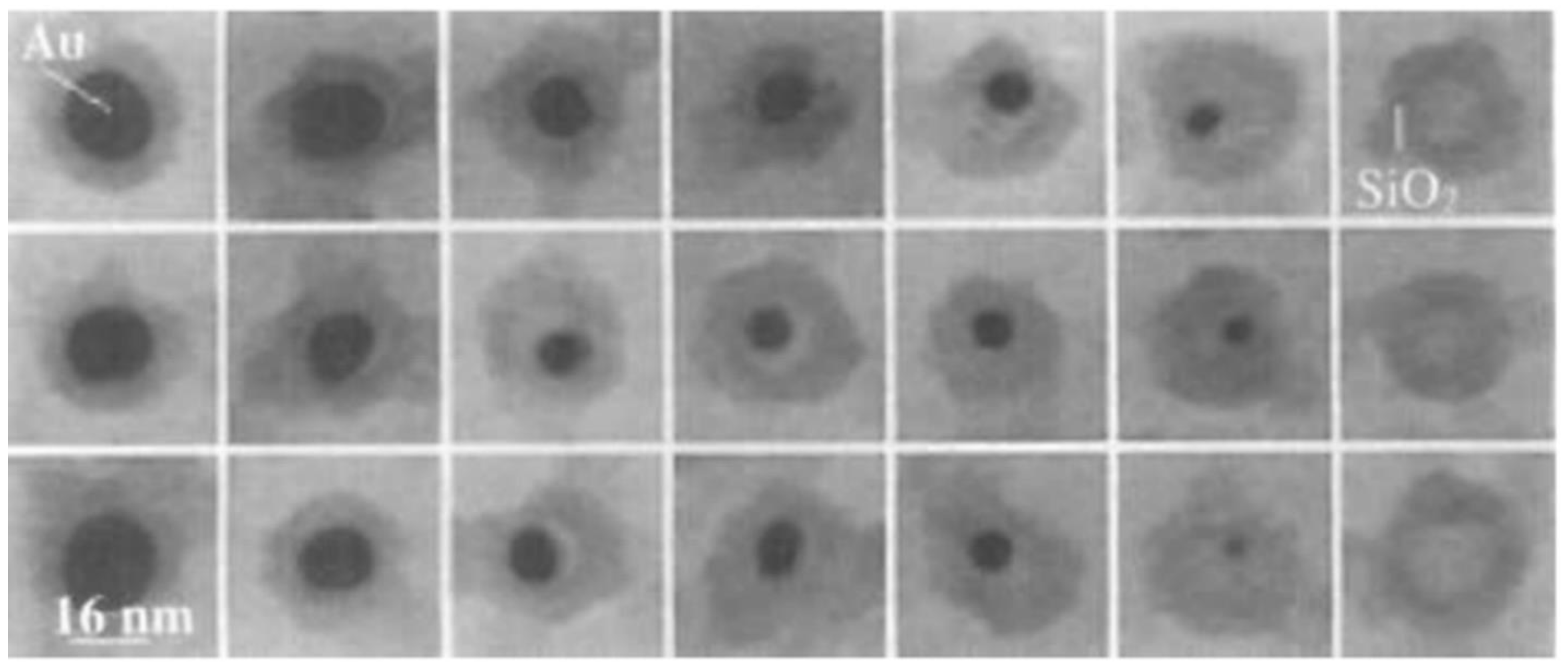 Biosensors 12 00511 g005