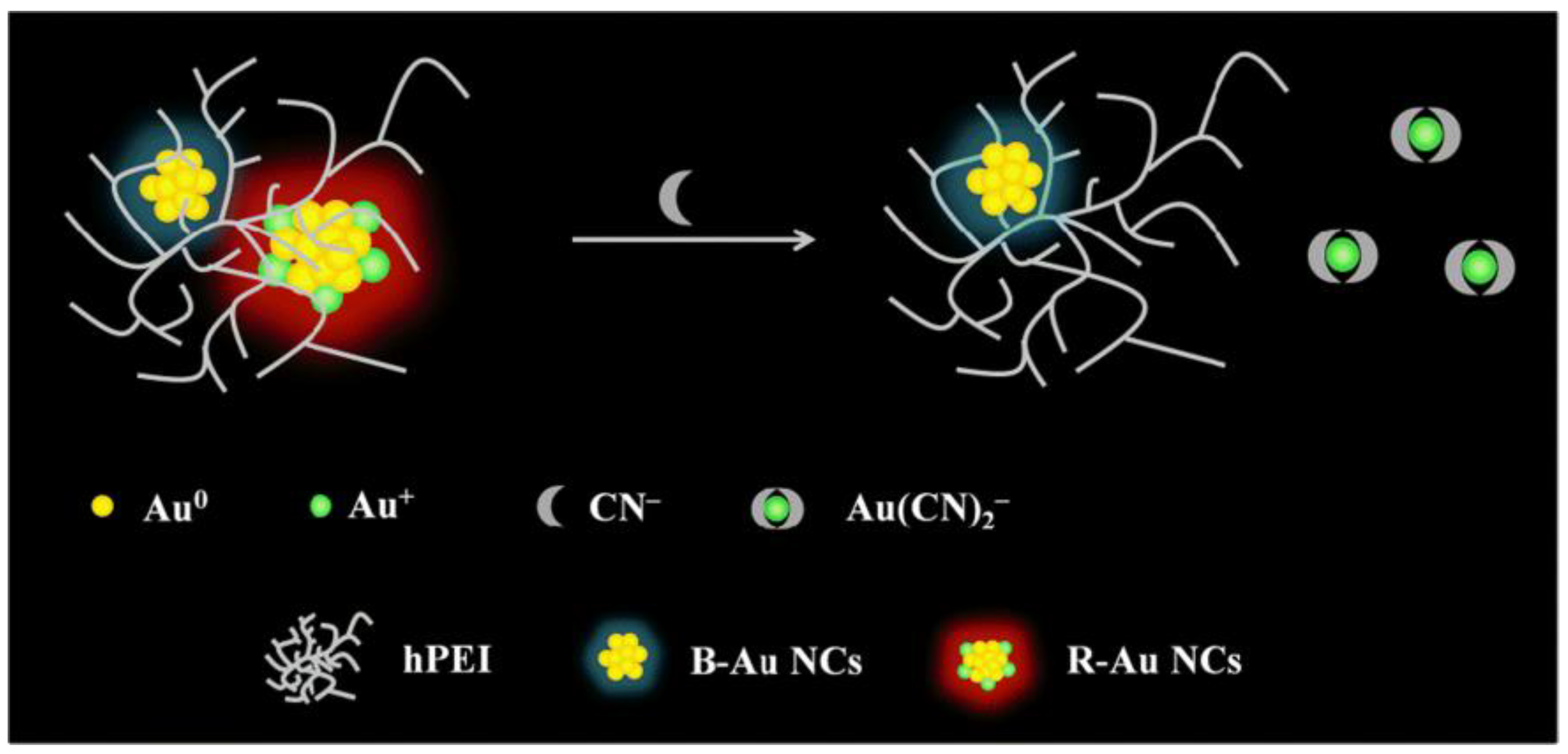 Biosensors 12 00511 g006