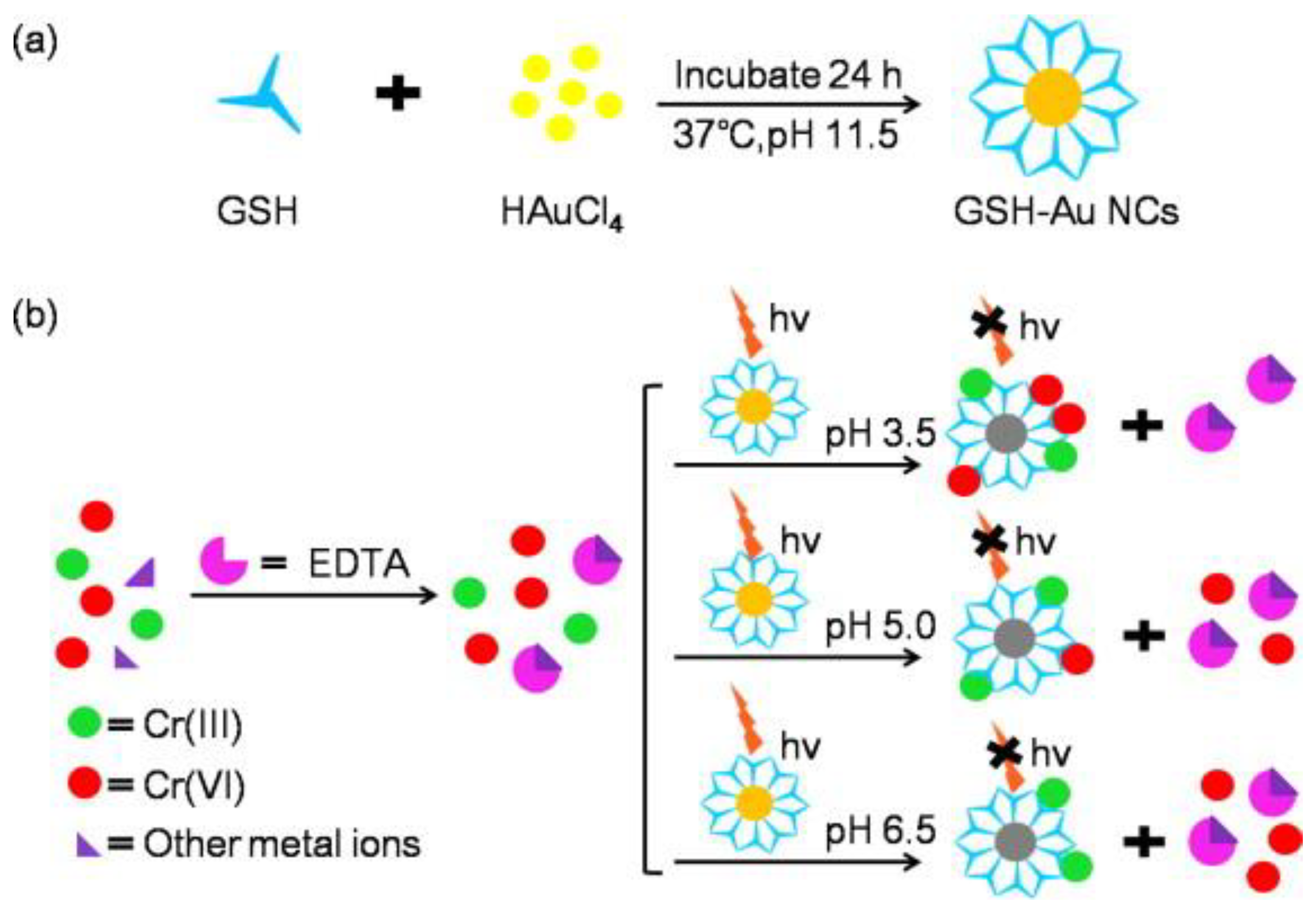 Biosensors 12 00511 g011