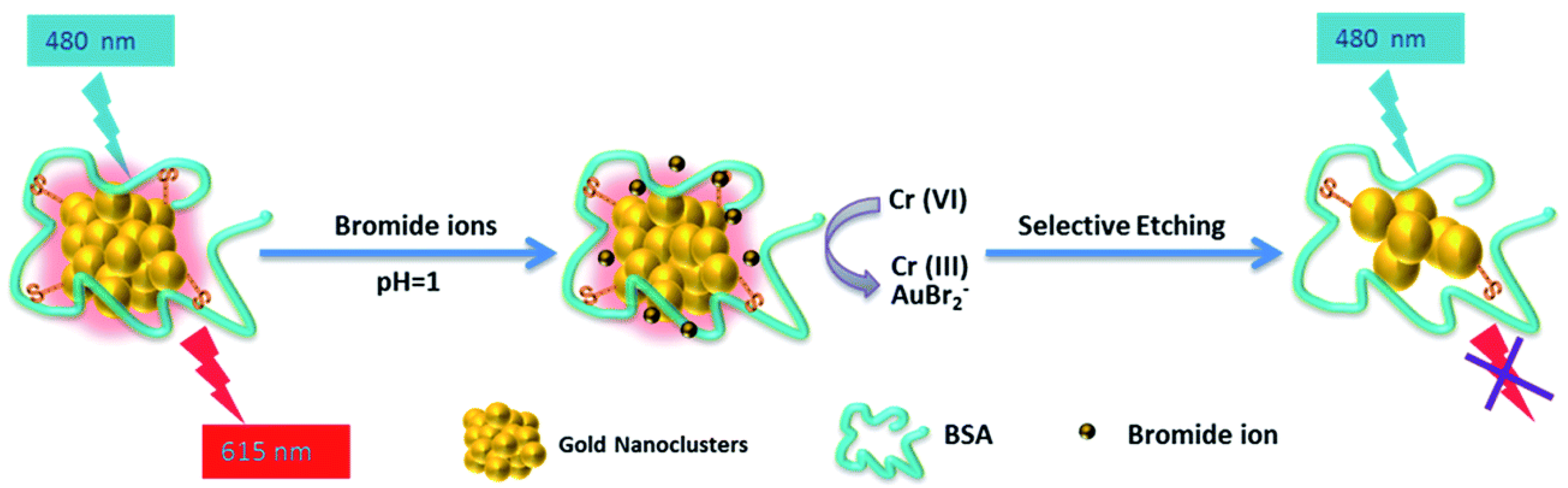 Biosensors 12 00511 g012