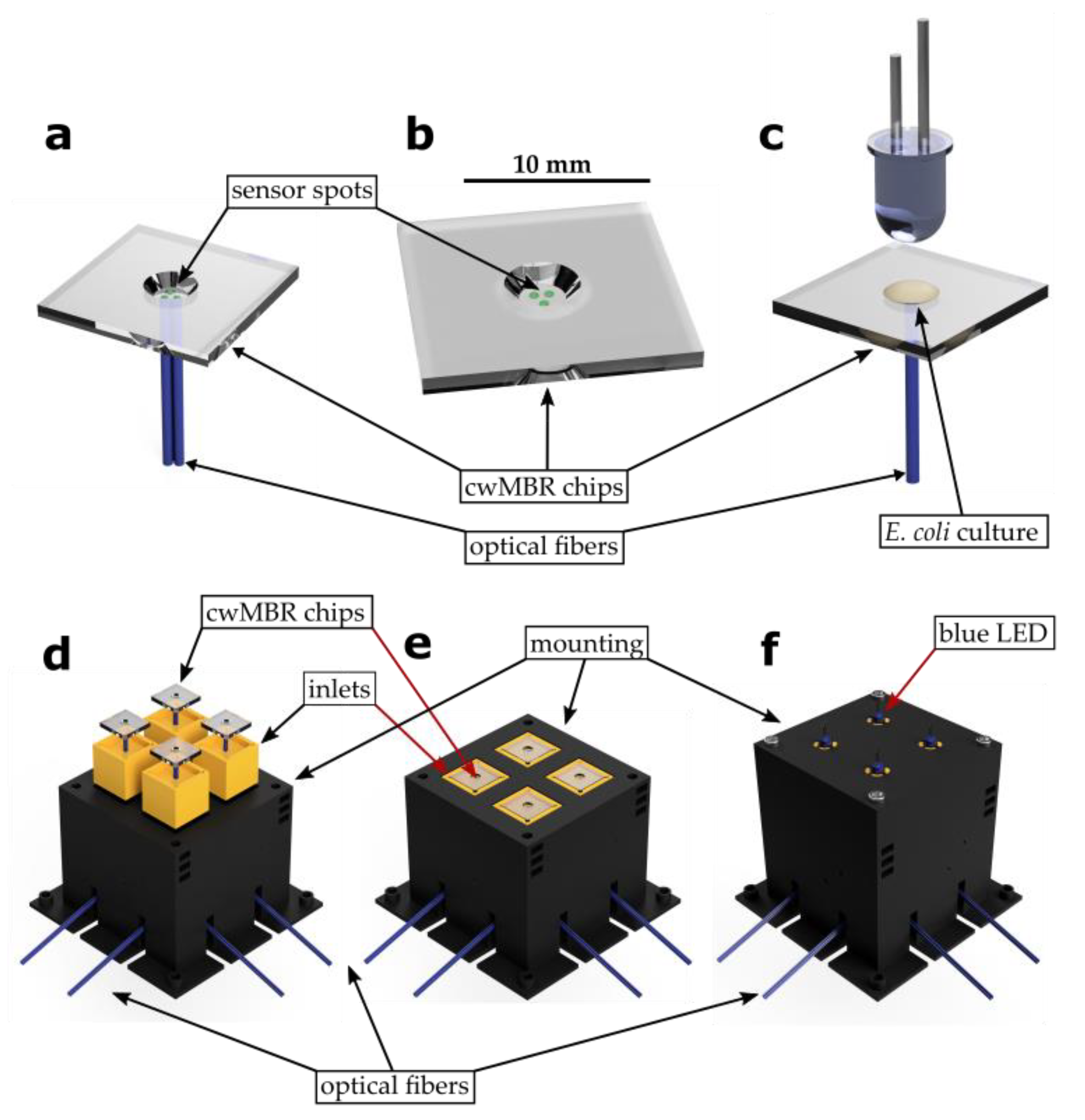 Biosensors 12 00512 g002