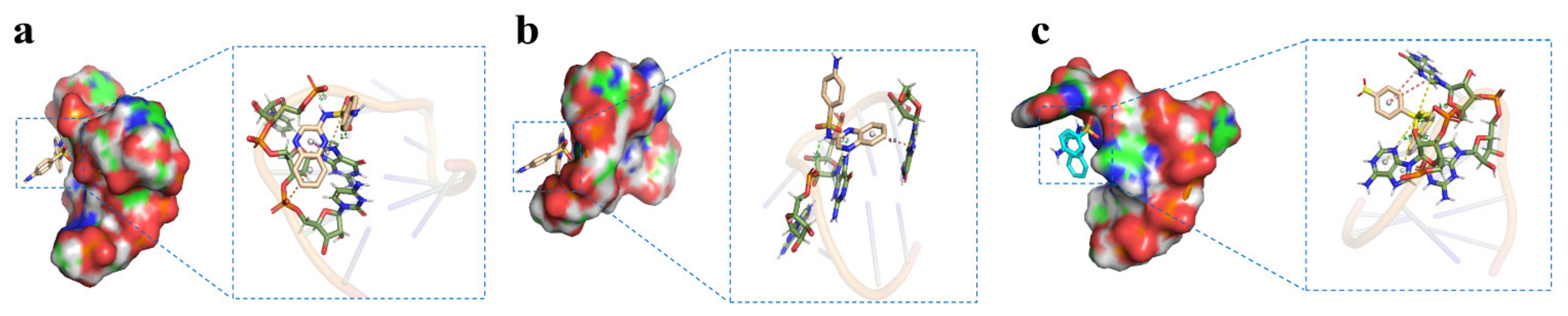 Biosensors 12 00513 g001