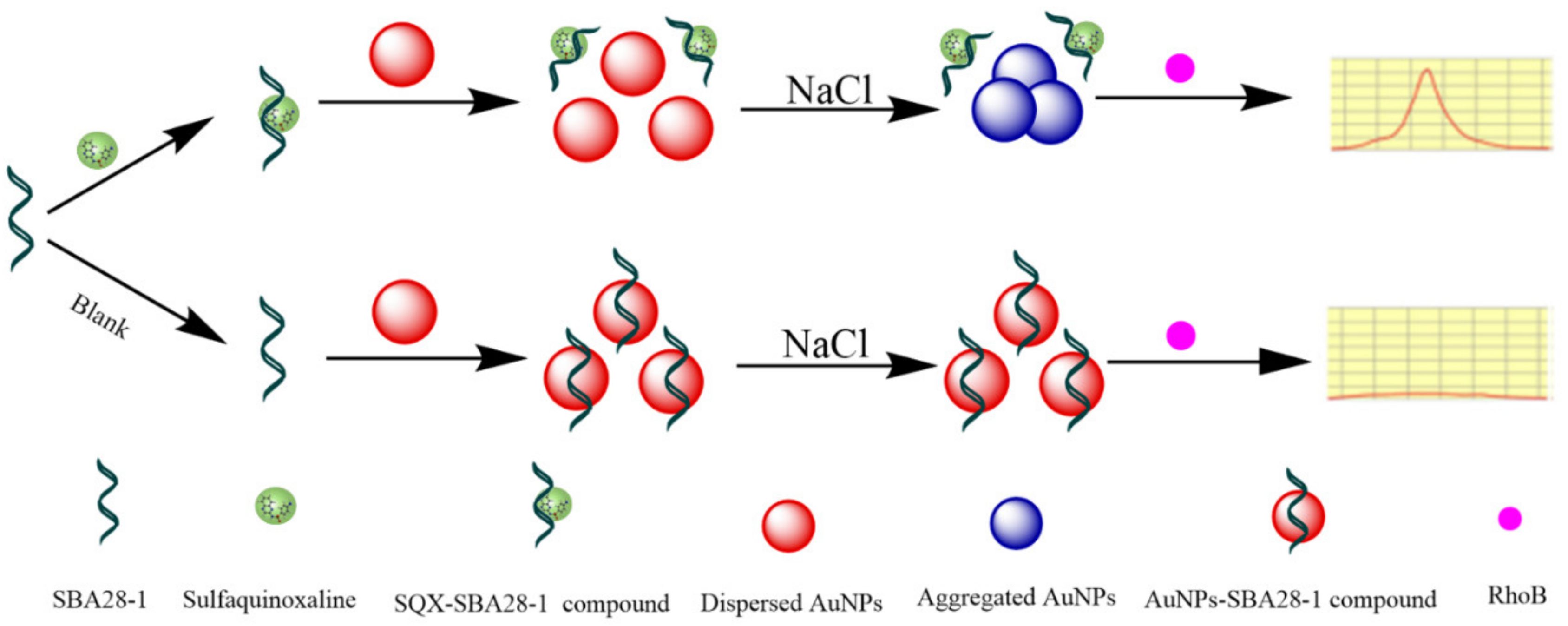 Biosensors 12 00513 g004