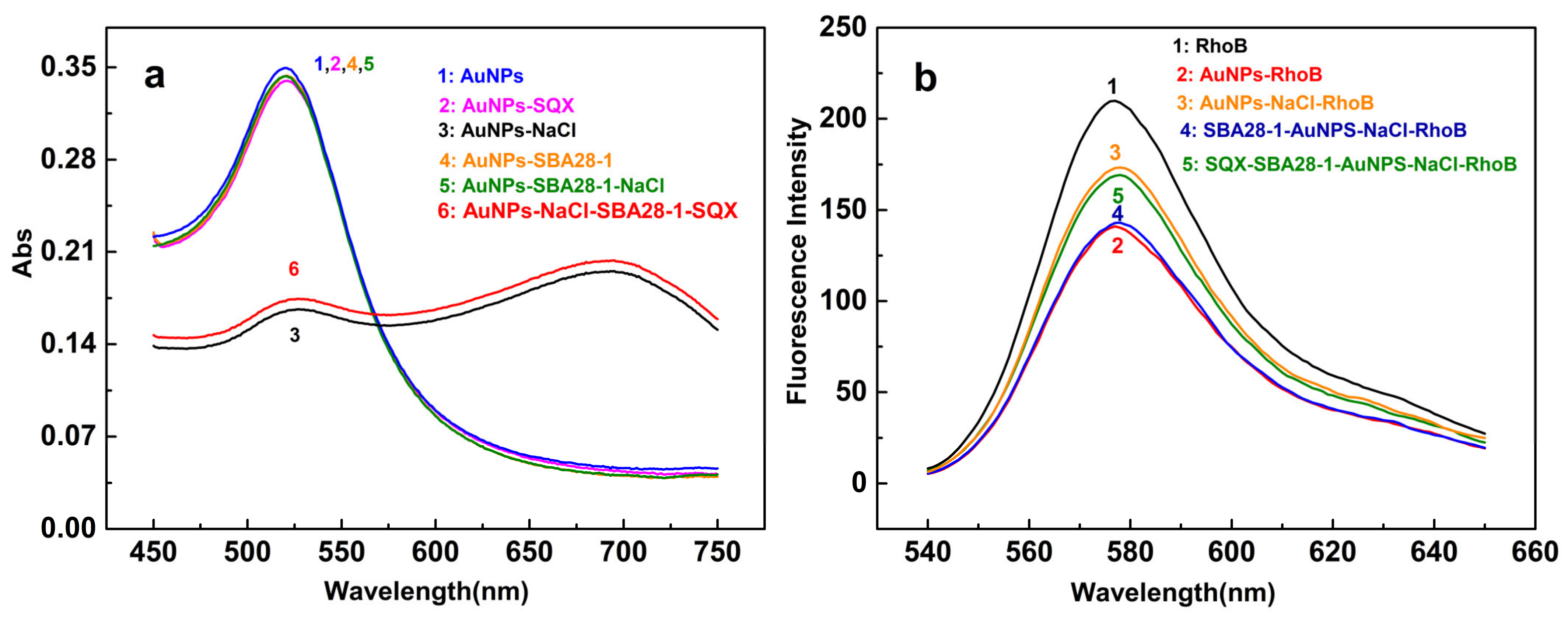 Biosensors 12 00513 g005