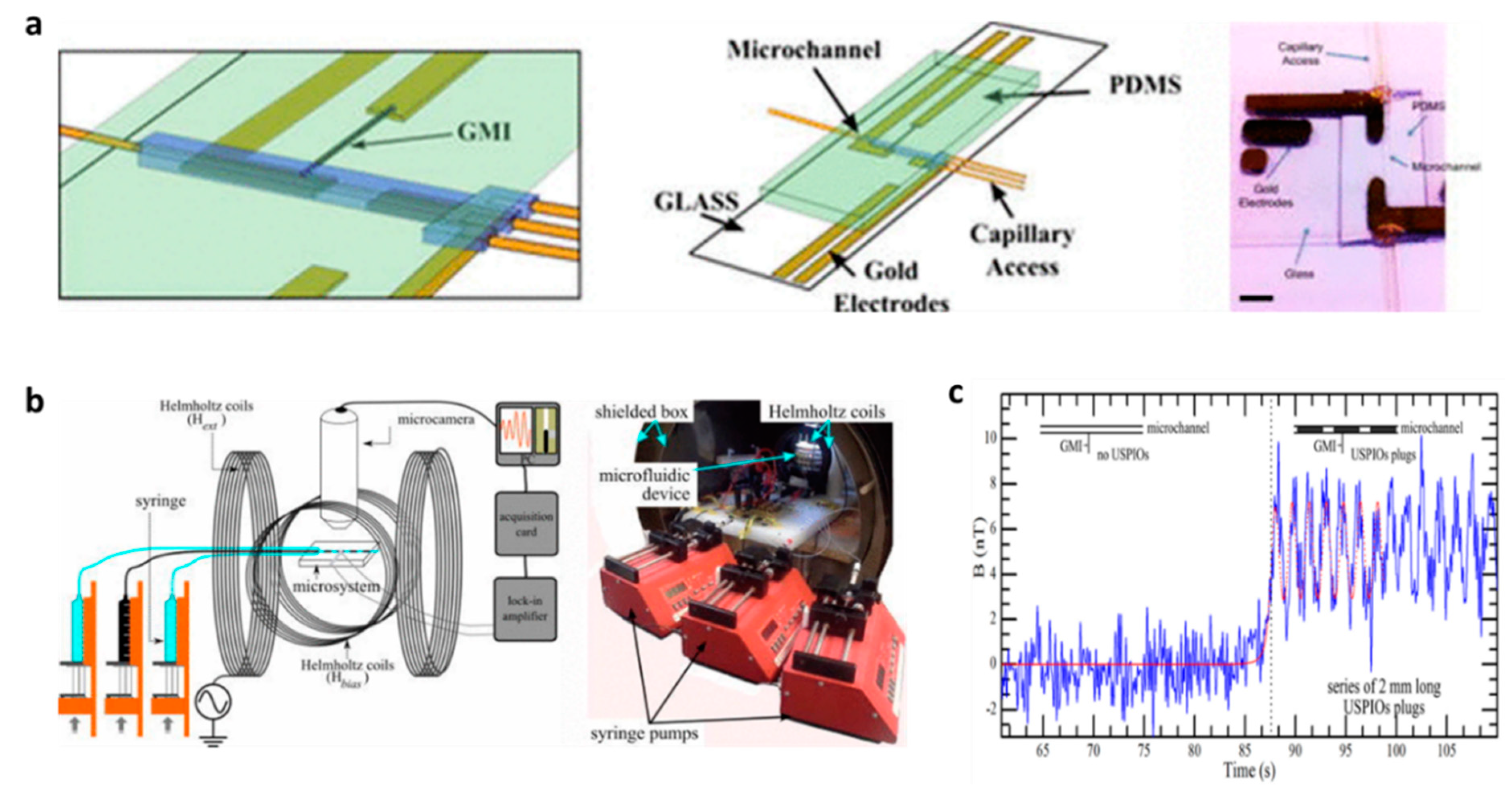 Biosensors 12 00517 g010 Biosensors 12 00517 g010
