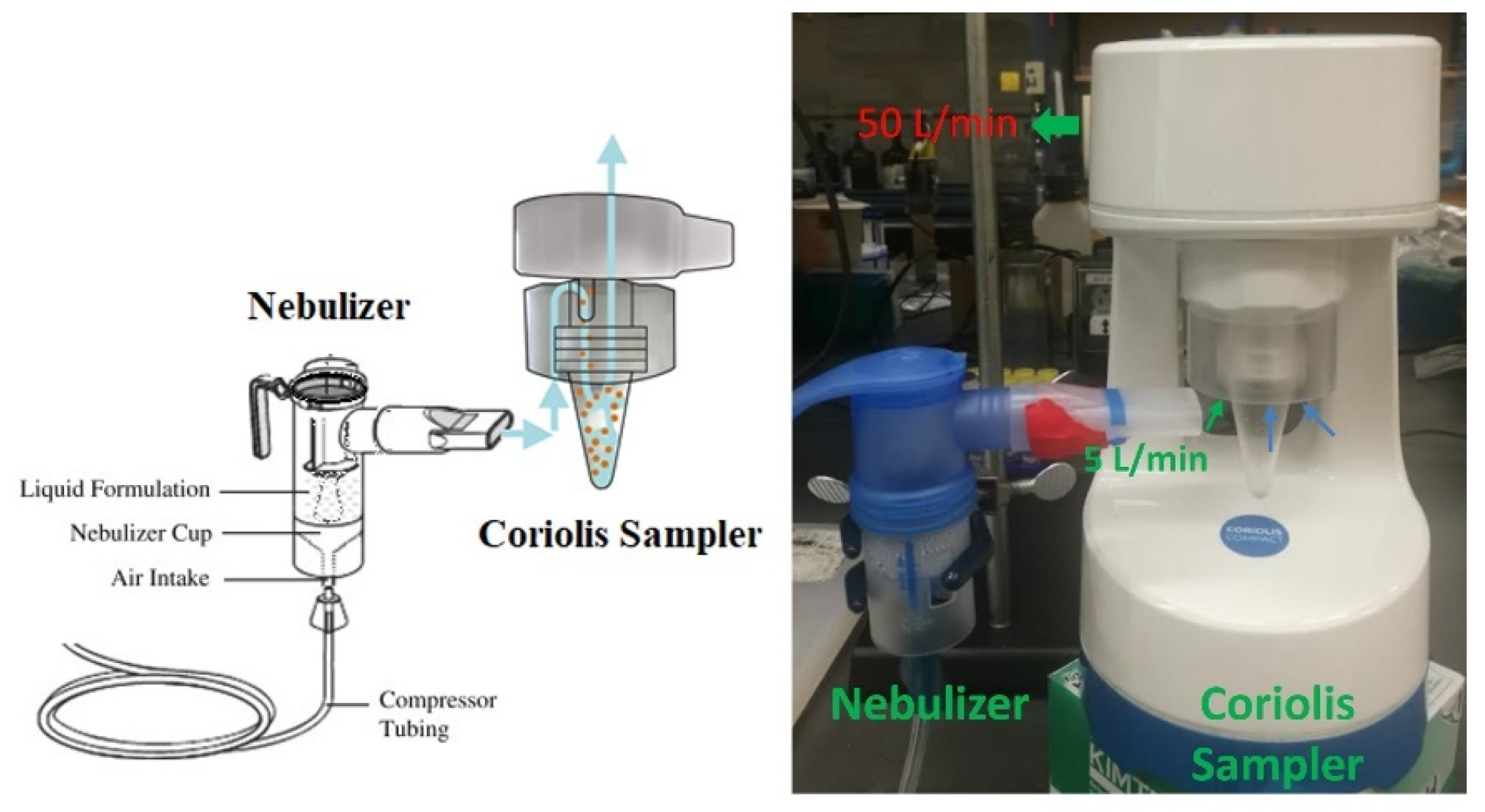 Biosensors 12 00523 g011 550