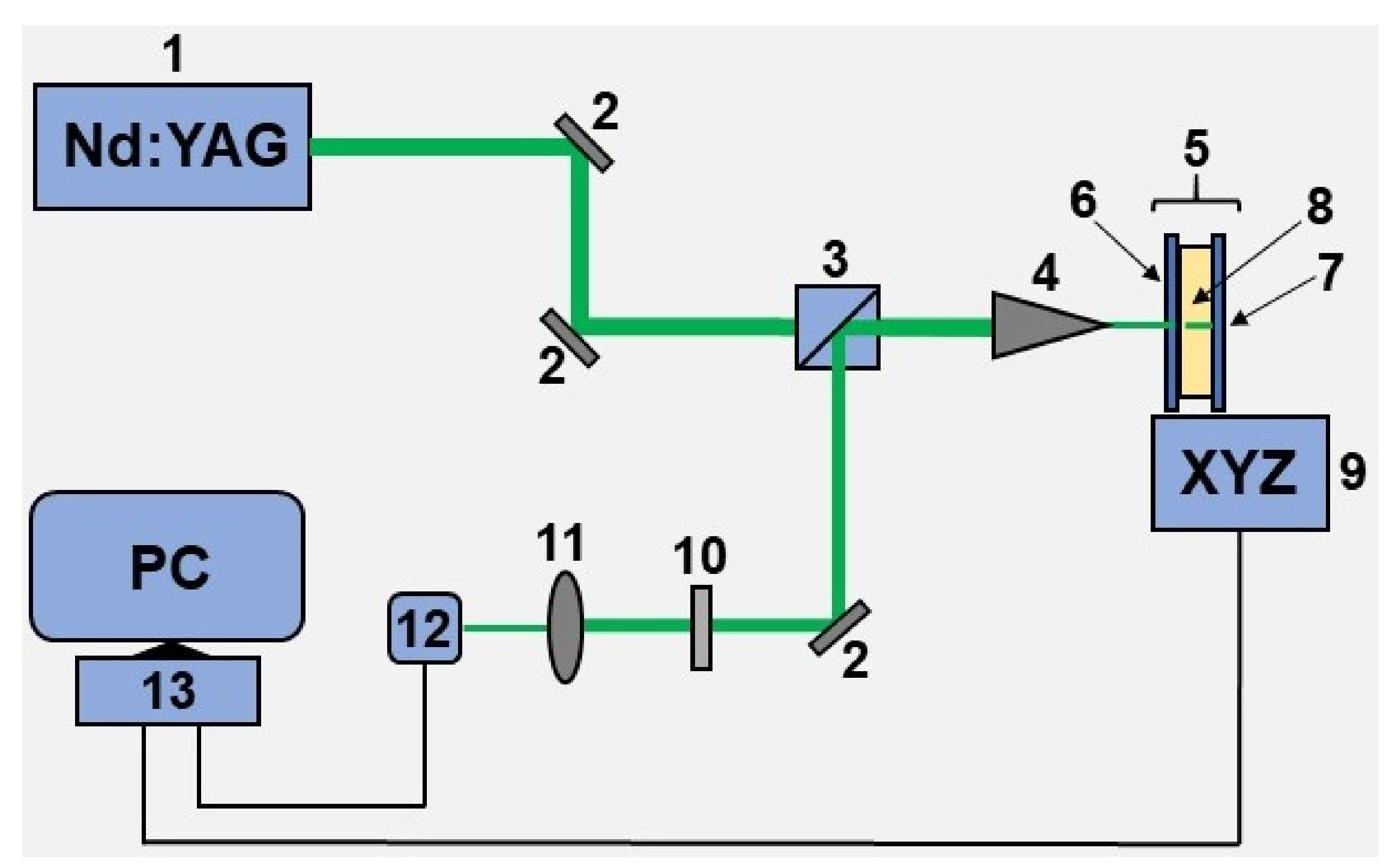 Biosensors 12 00527 g001