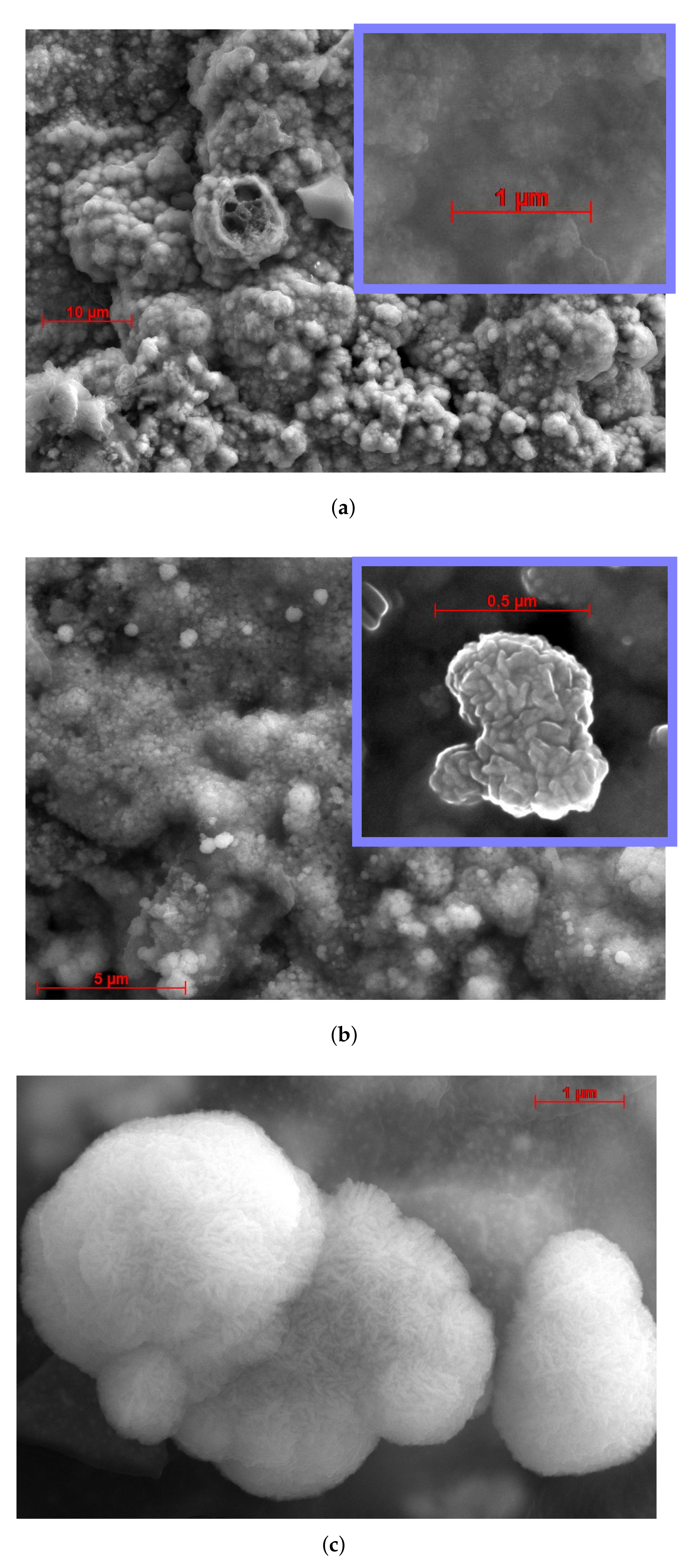 Biosensors 12 00527 g003