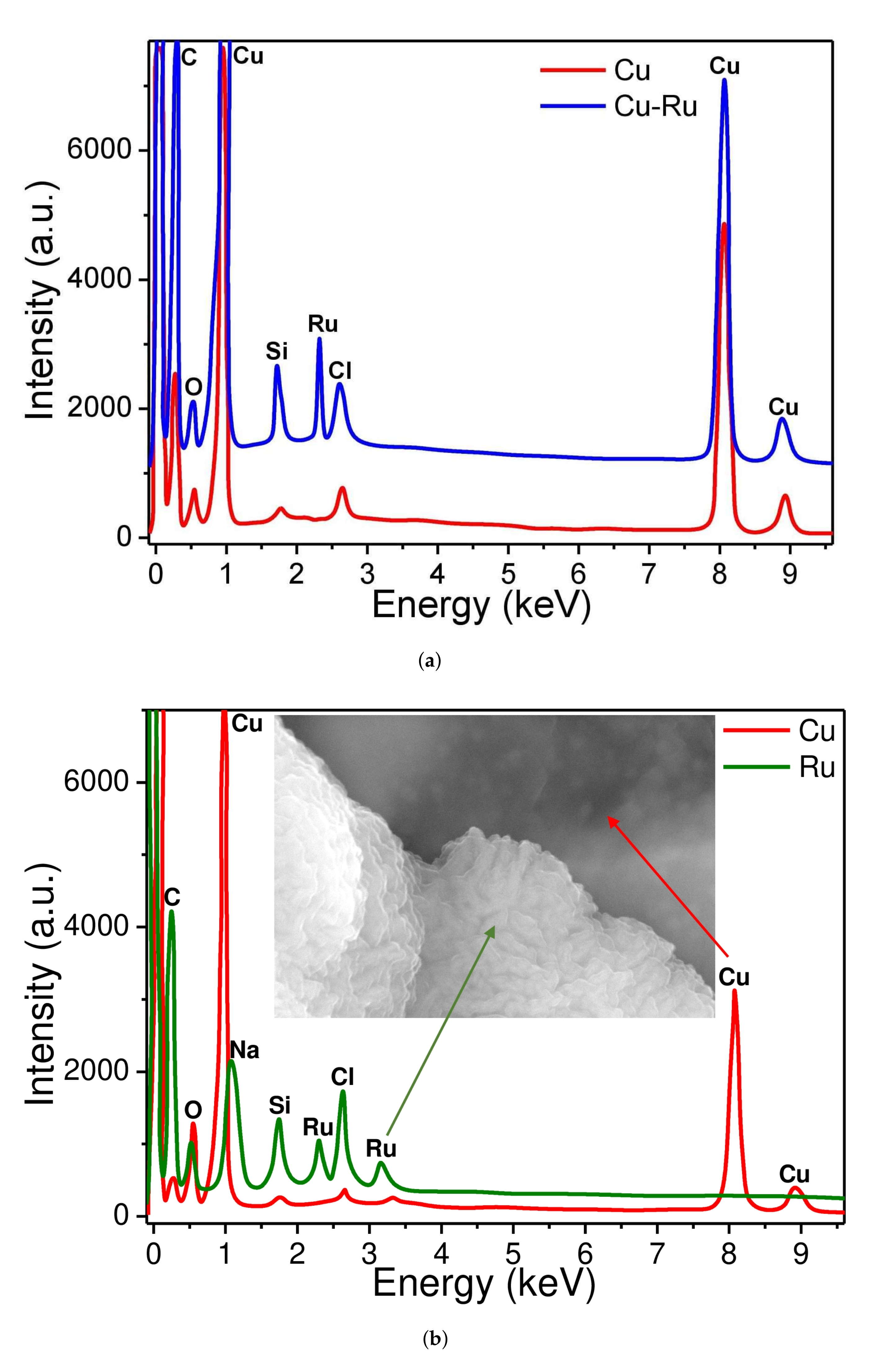 Biosensors 12 00527 g004