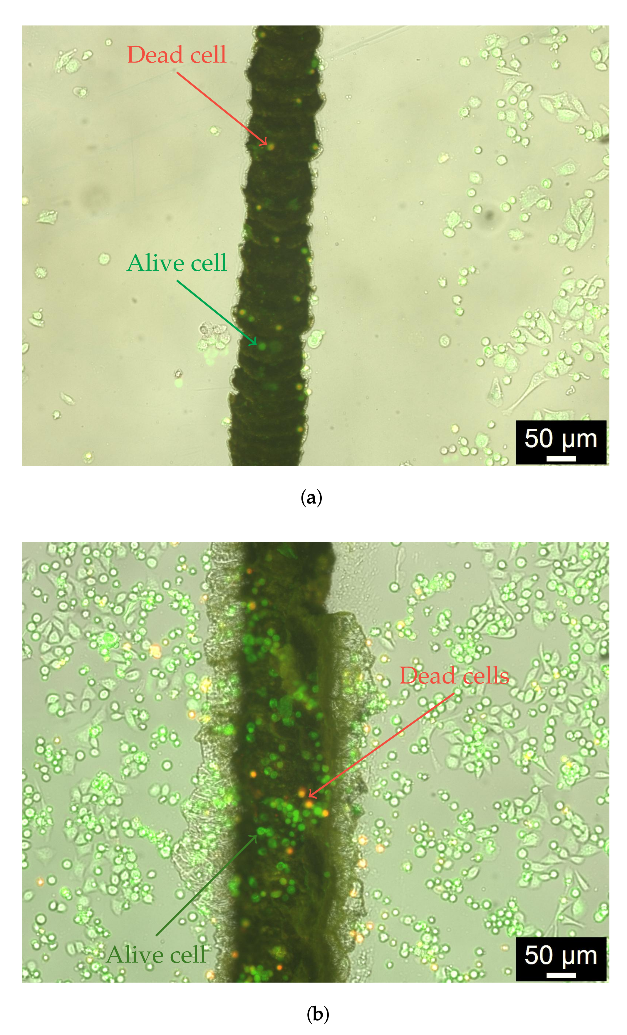 Biosensors 12 00527 g007
