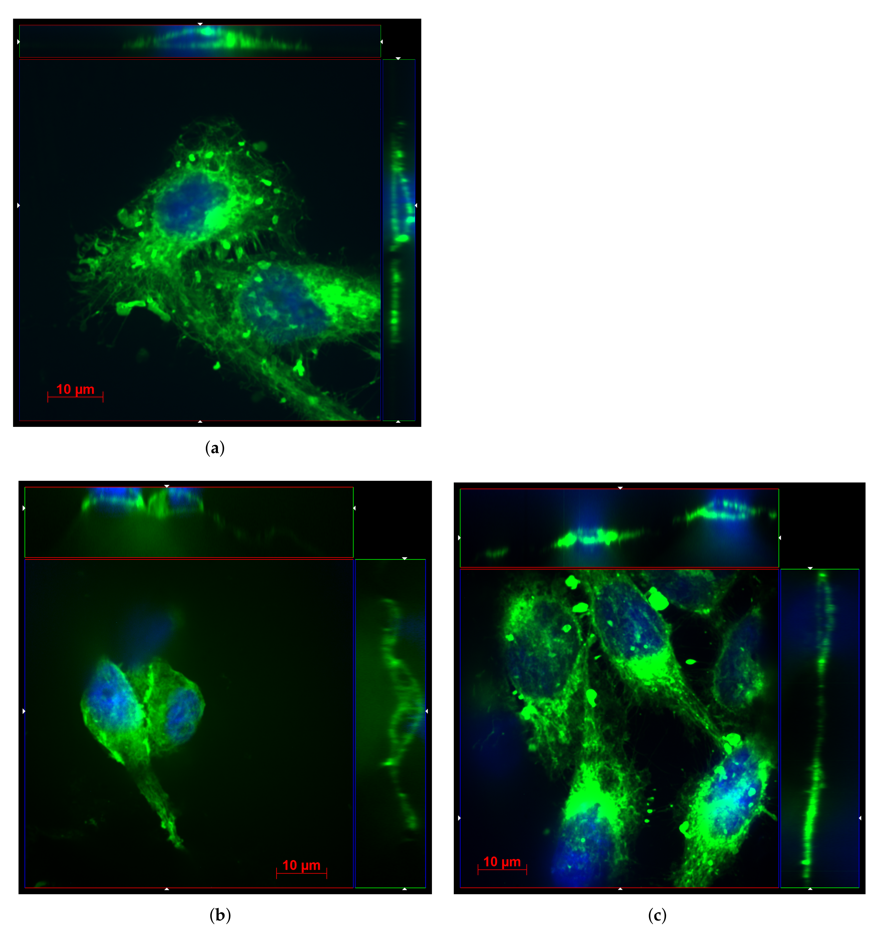 Biosensors 12 00527 g008