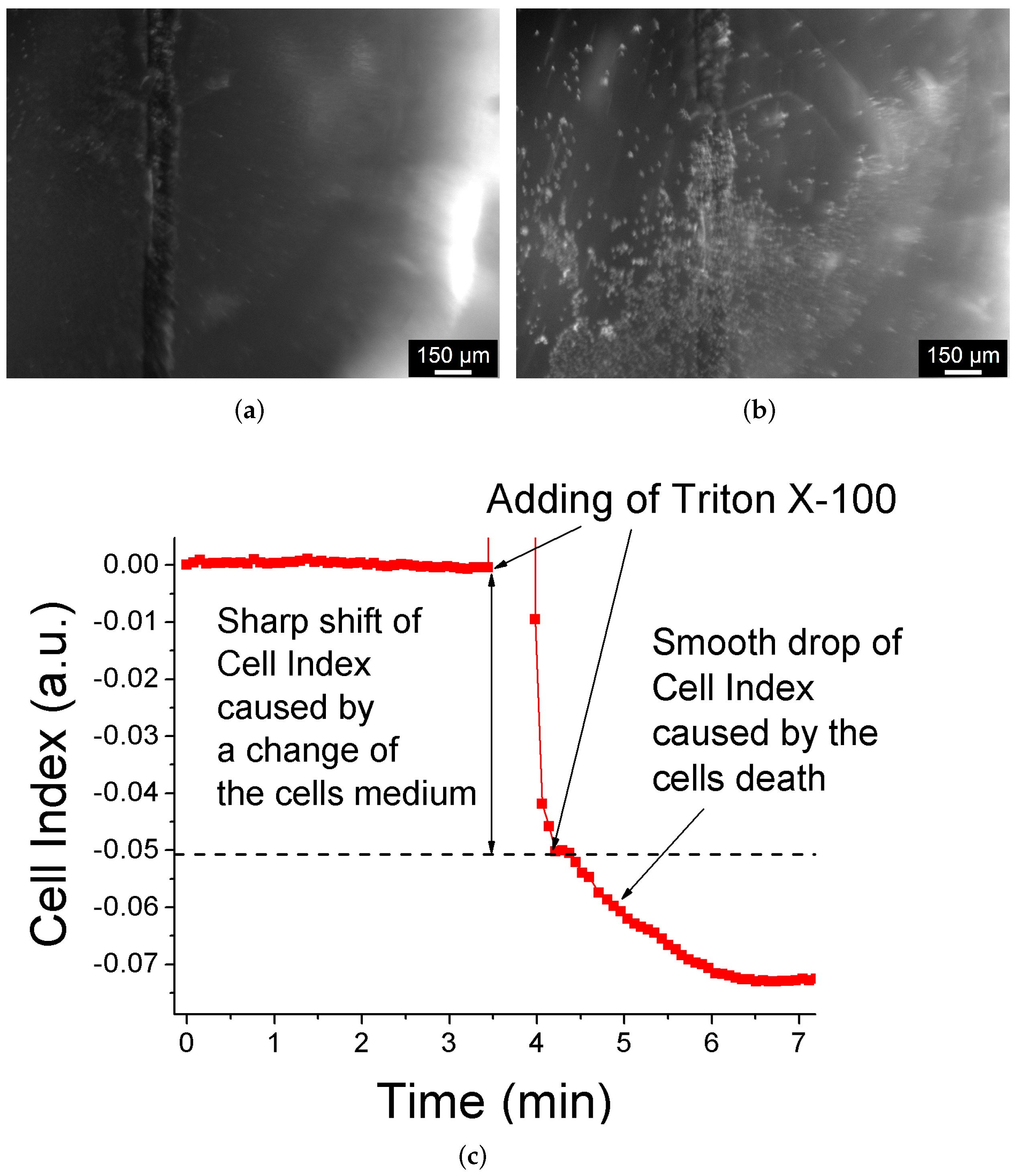 Biosensors 12 00527 g010