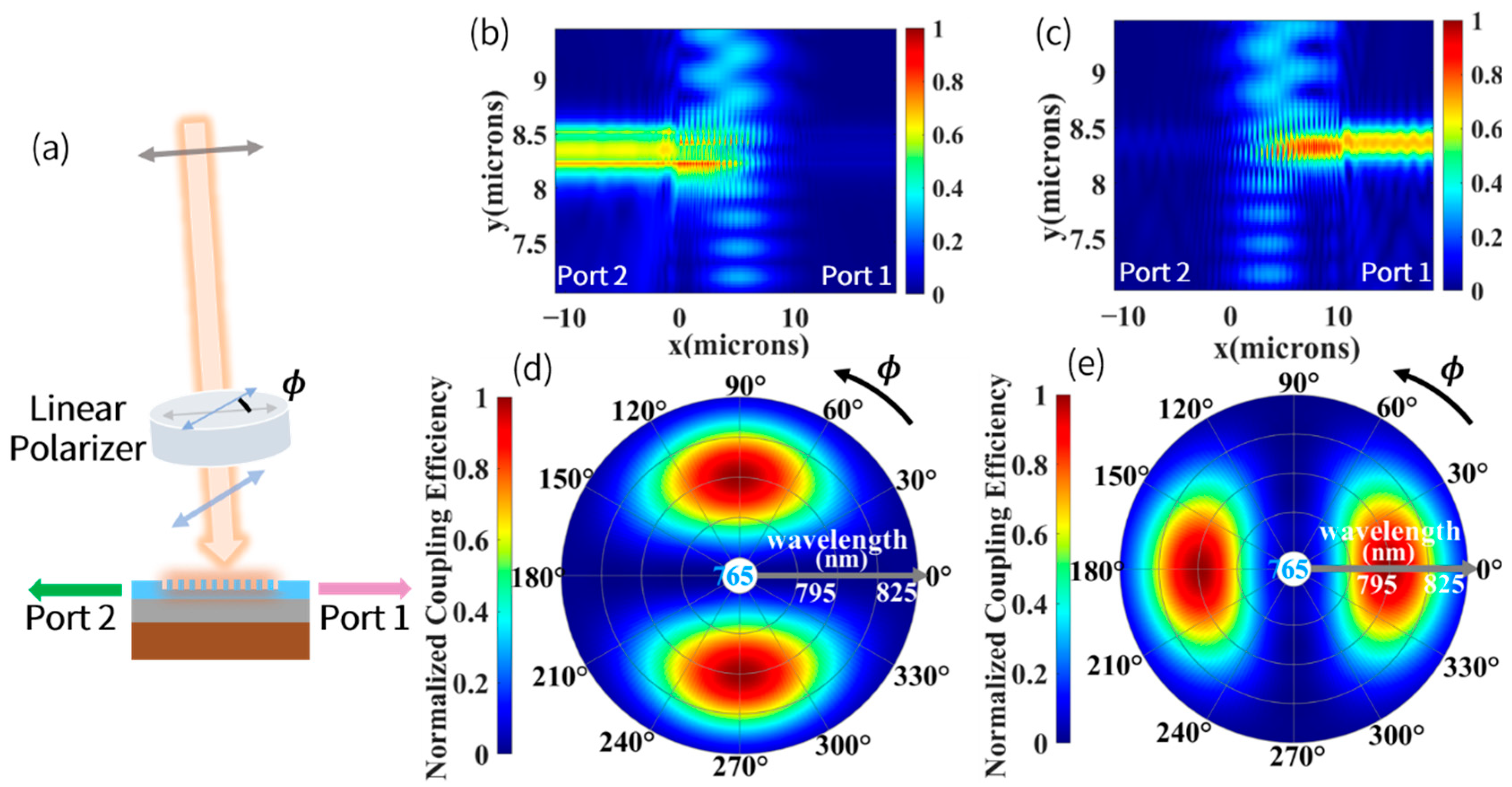 Biosensors 12 00529 g005