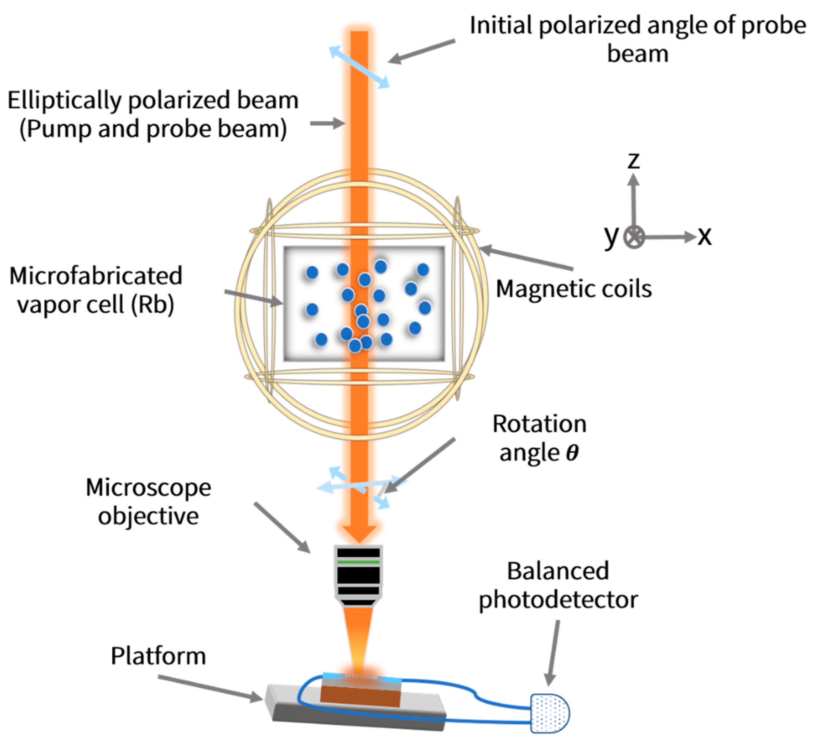 Biosensors 12 00529 g011