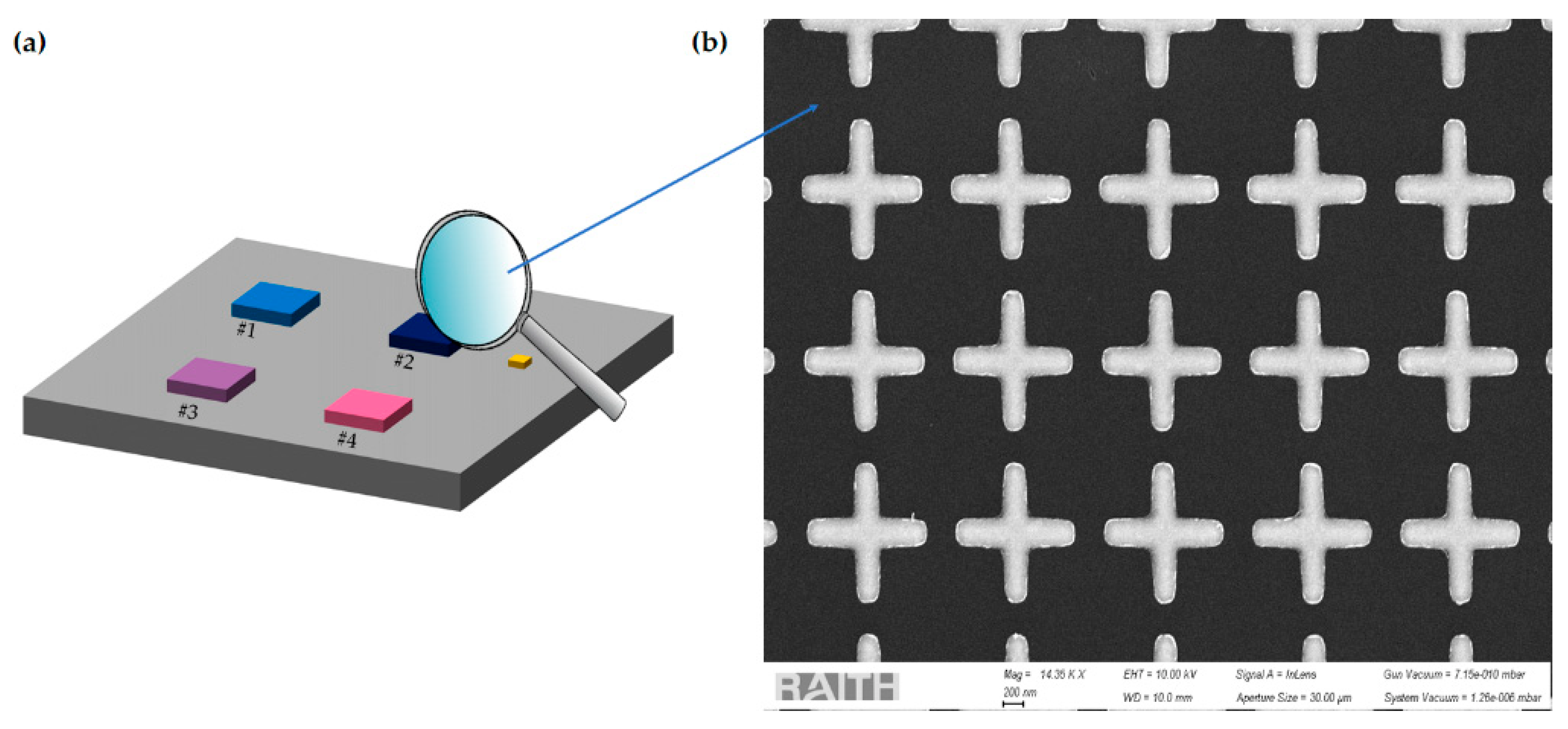 Biosensors 12 00530 g003