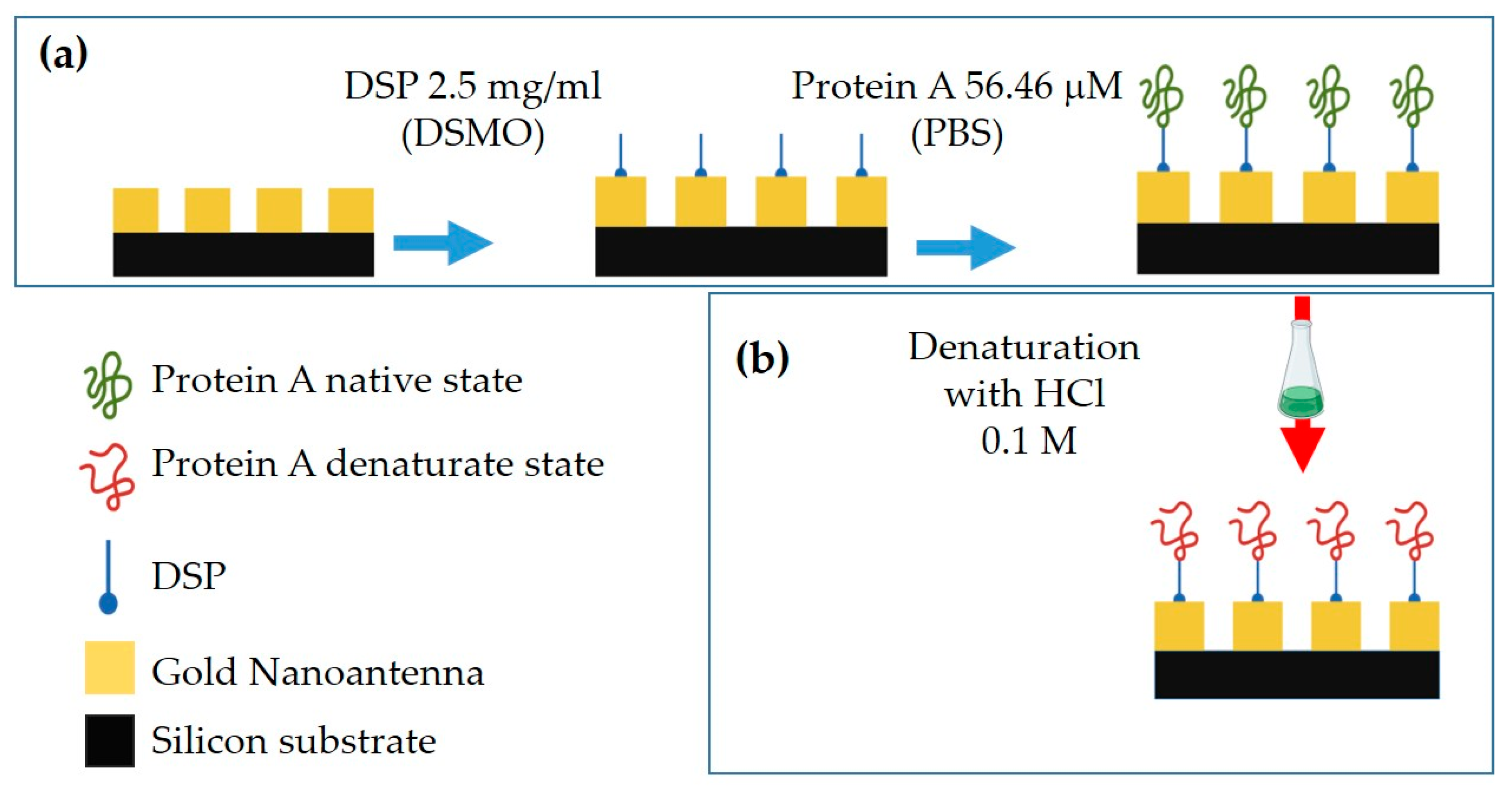 Biosensors 12 00530 g004
