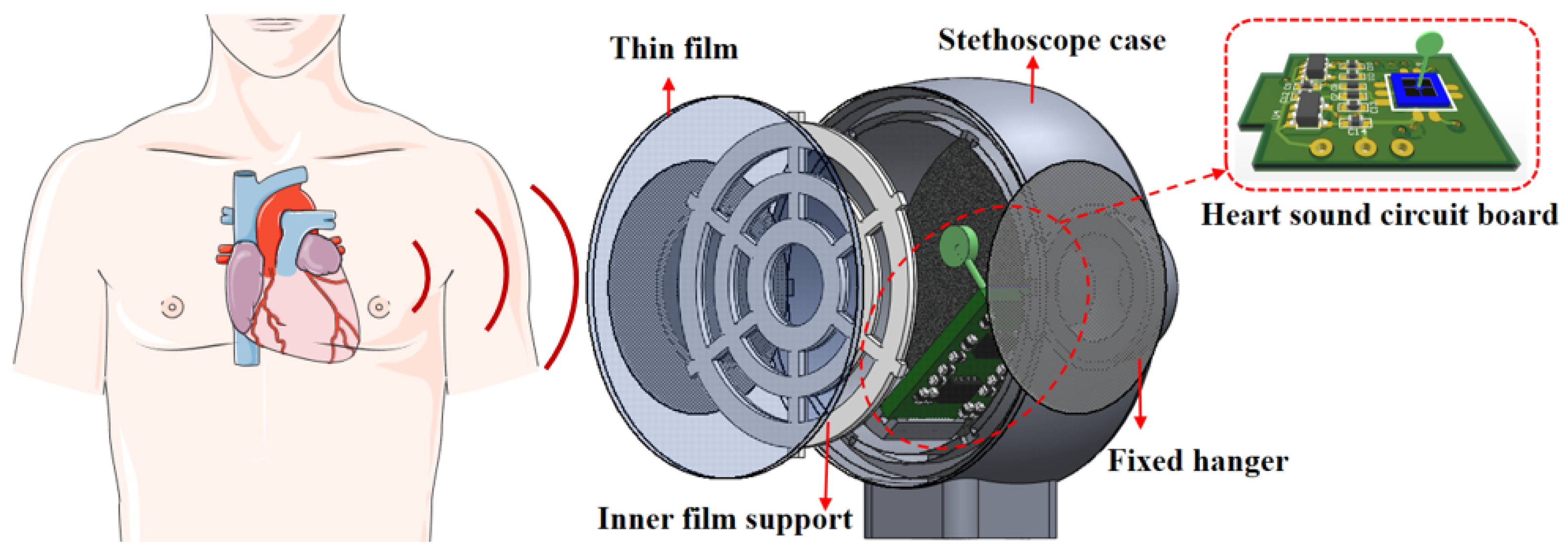 Biosensors 12 00534 g010