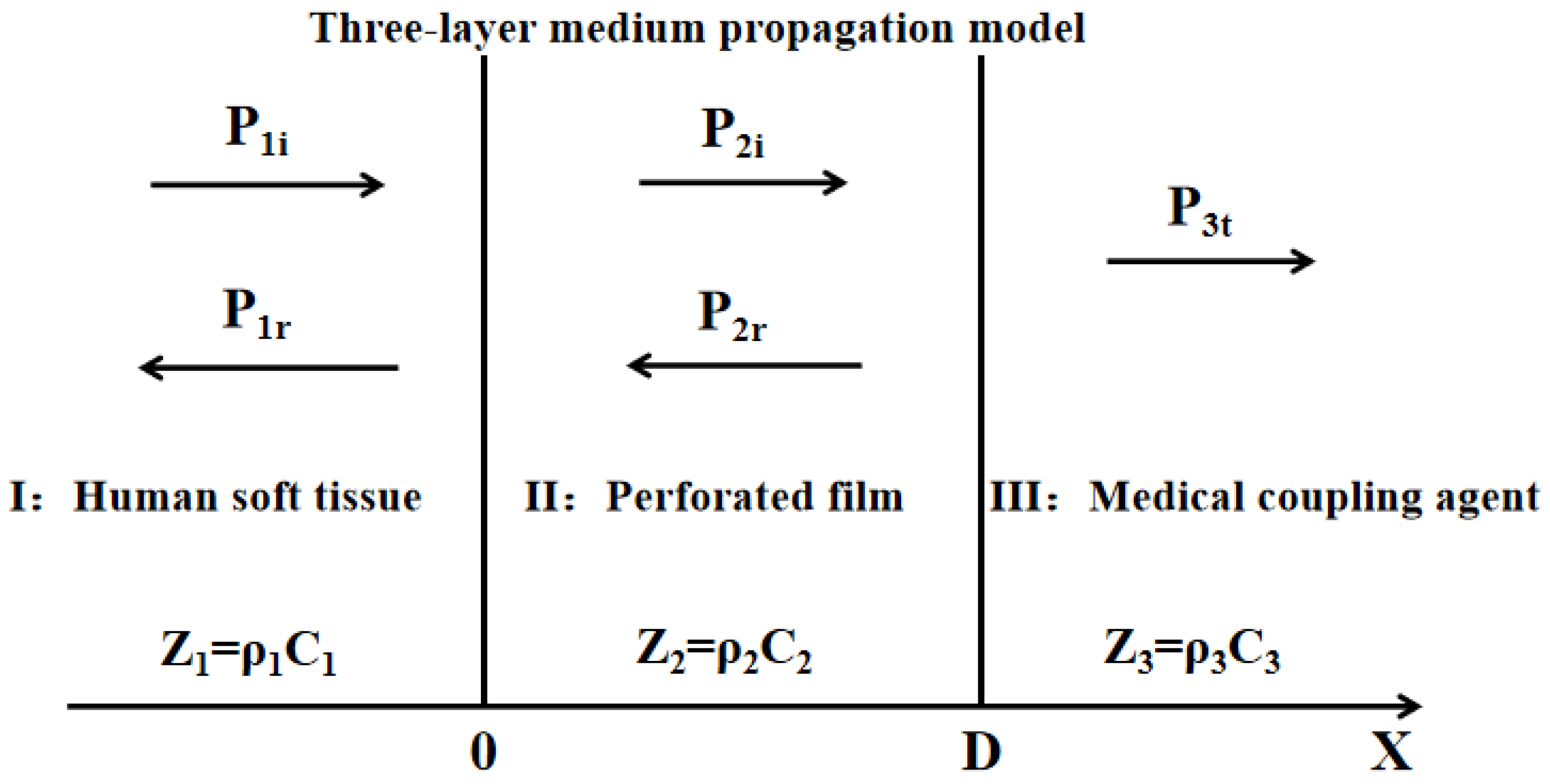 Biosensors 12 00534 g011