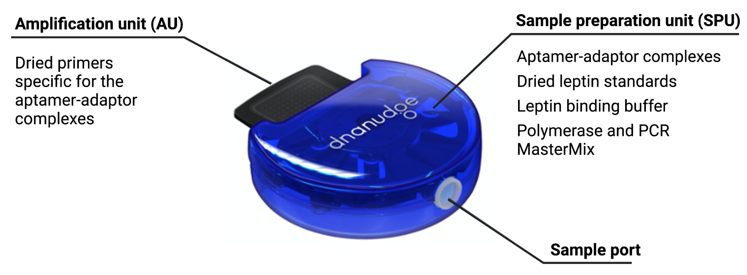 Biosensors 12 00537 g004 550
