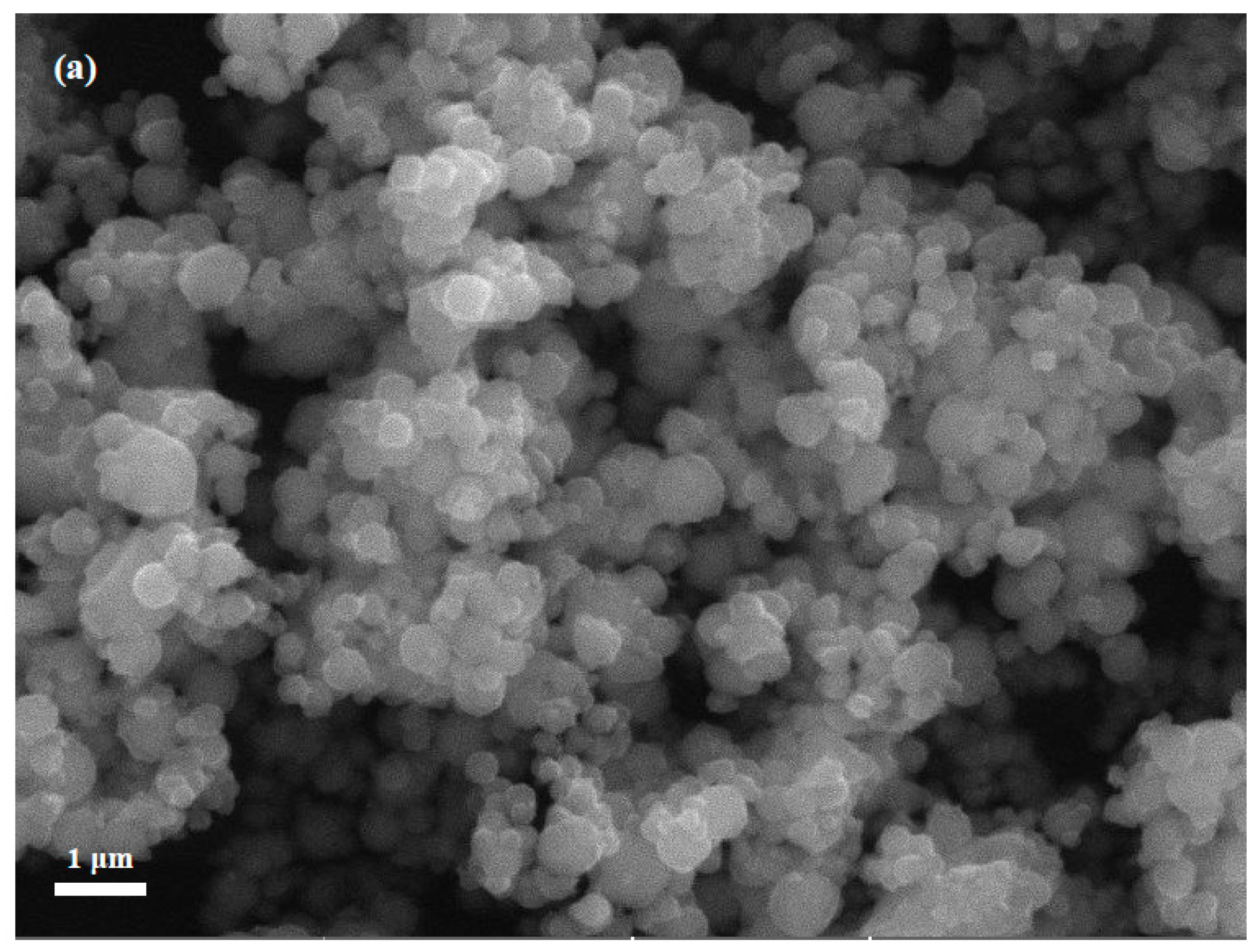 Biosensors 12 00538 g001a 550