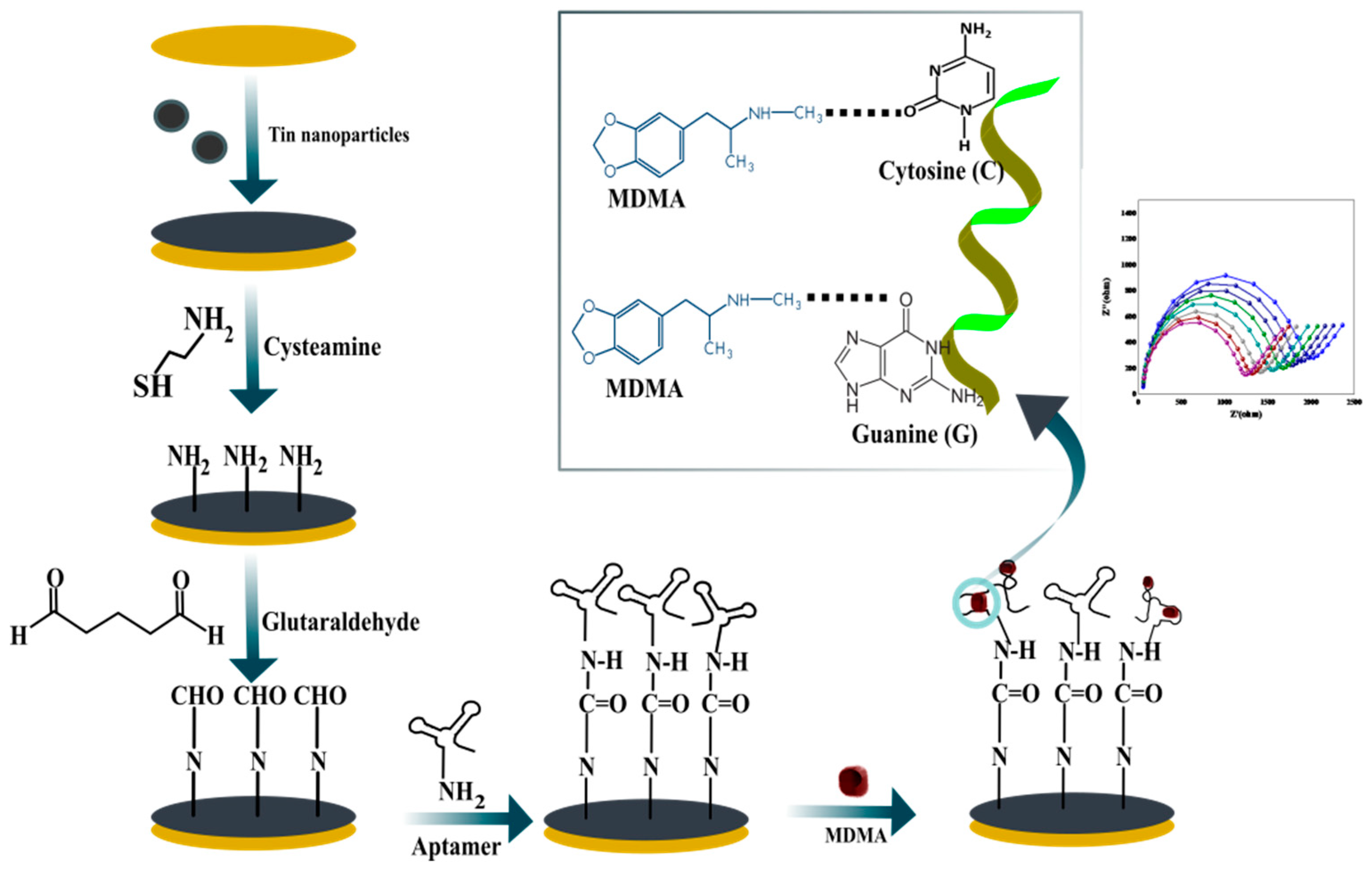 Biosensors 12 00538 sch001 550