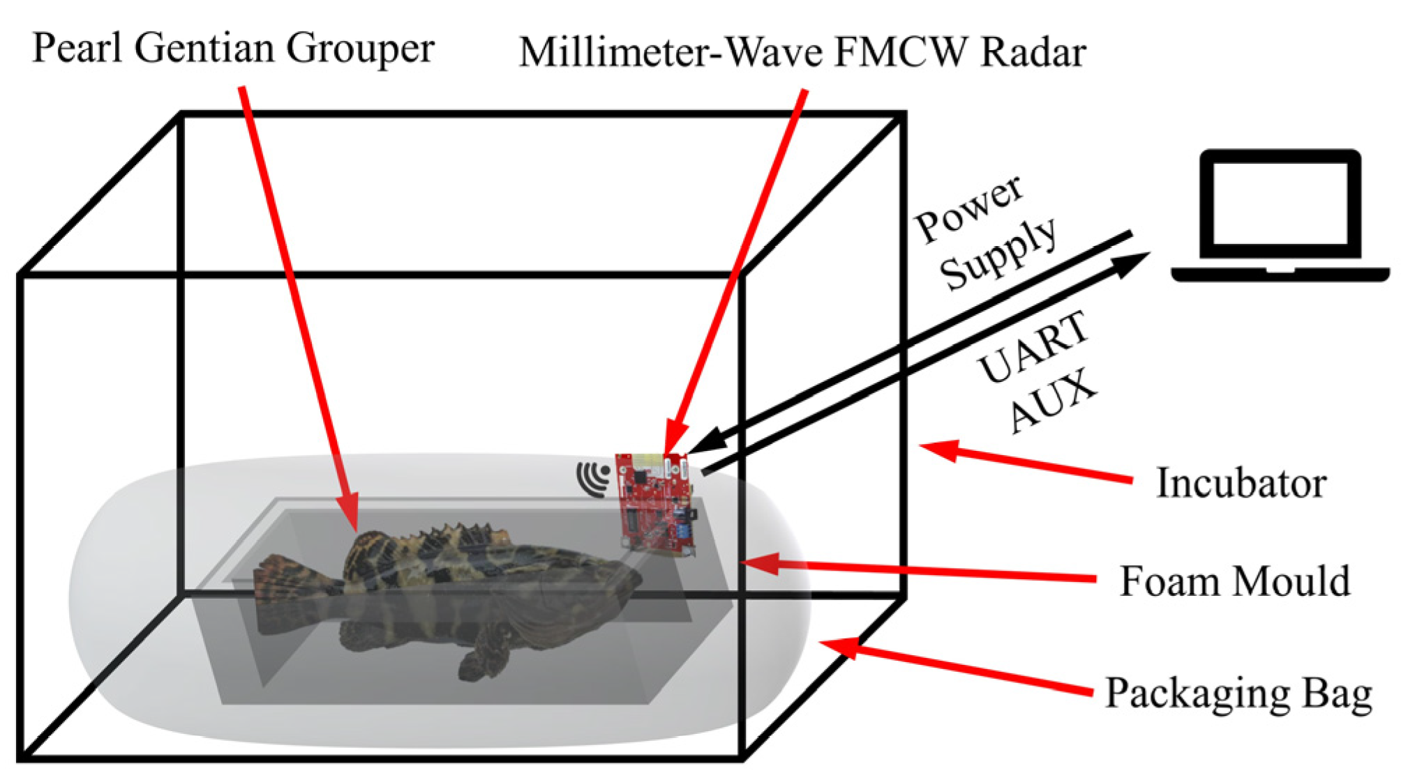 Biosensors 12 00541 g002 550