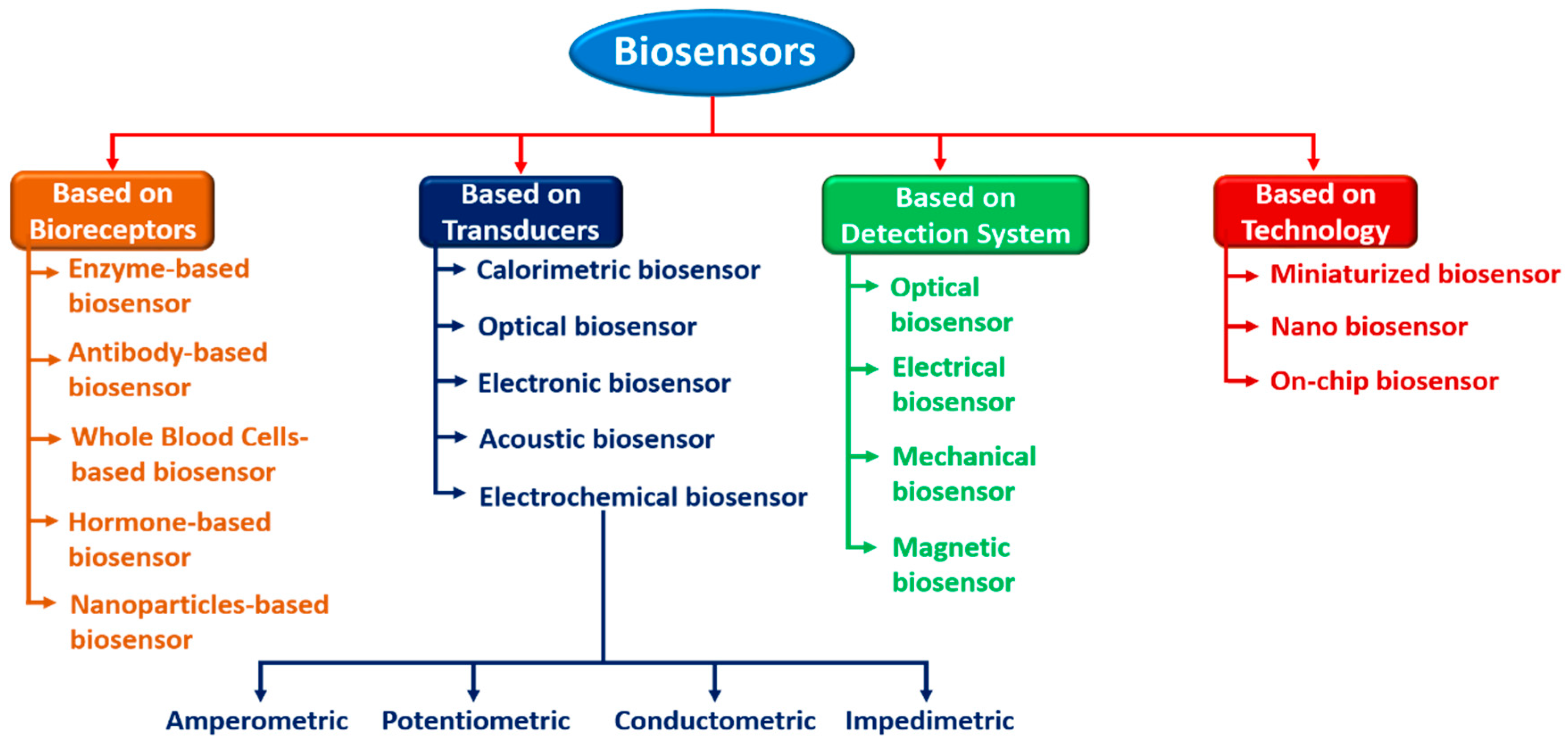 Biosensors 12 00543 g003 550