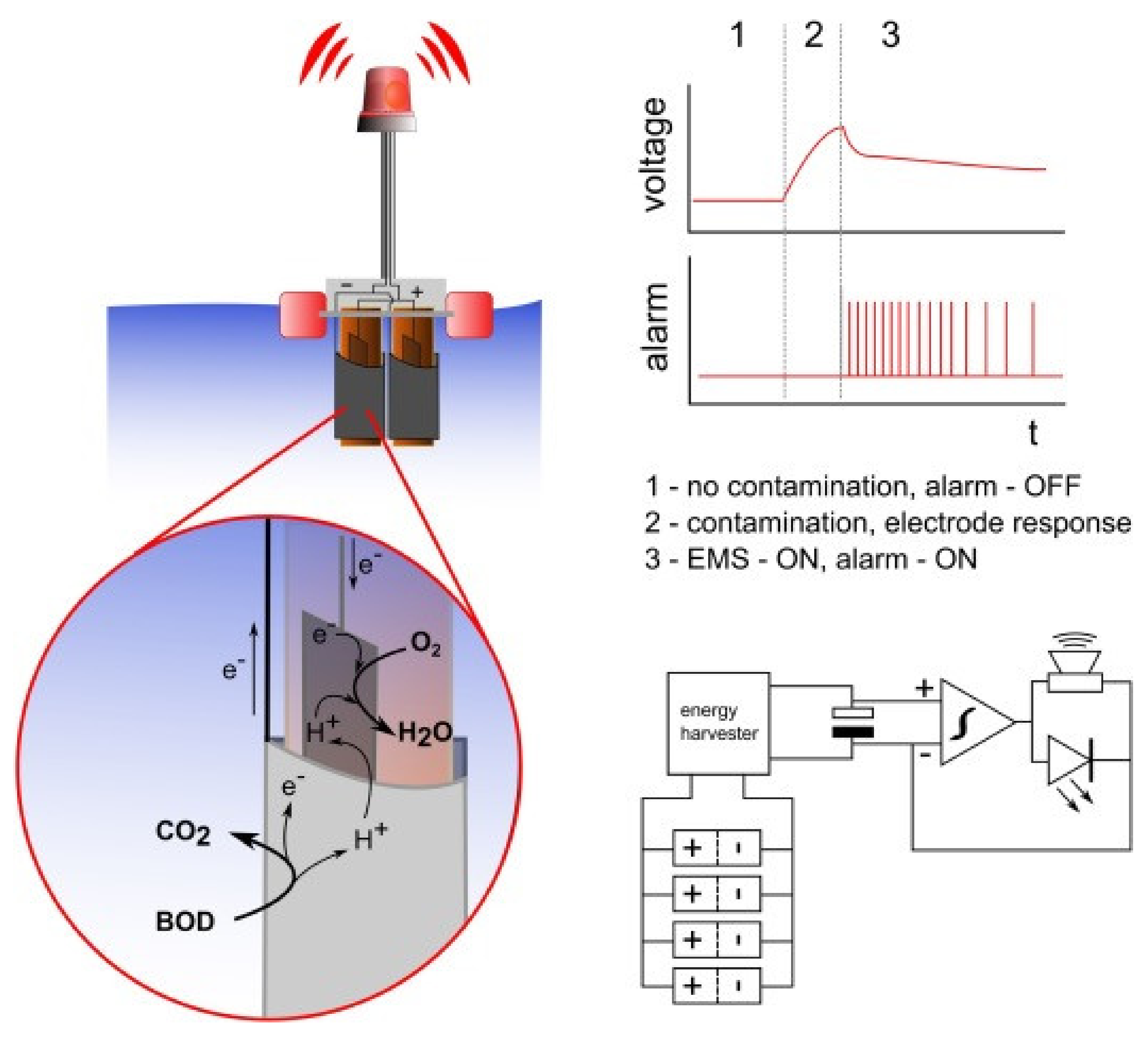 Biosensors 12 00551 g005 550