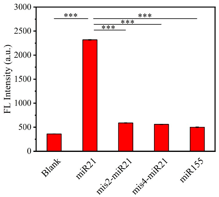 Biosensors 12 00557 g003