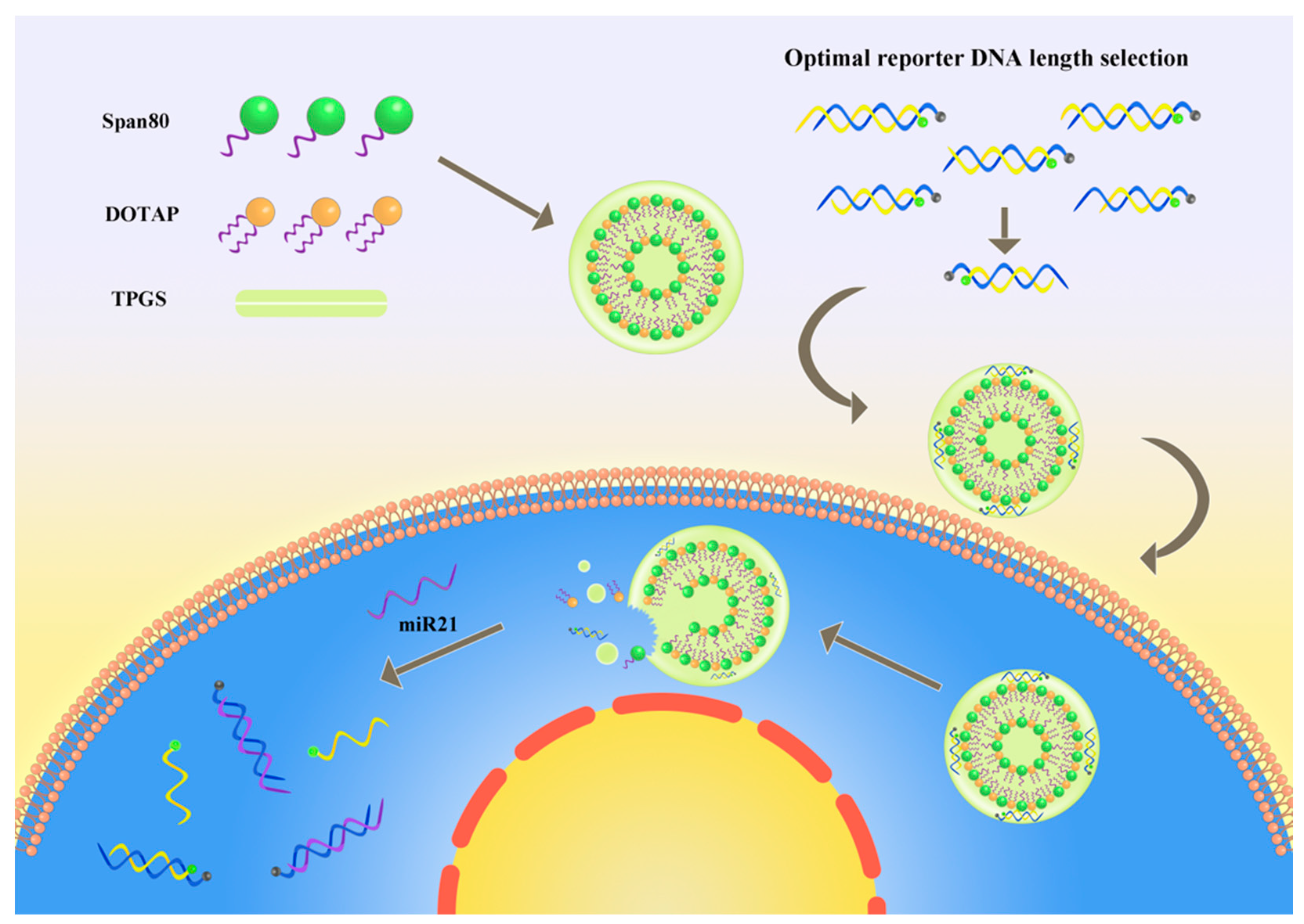 Biosensors 12 00557 sch001
